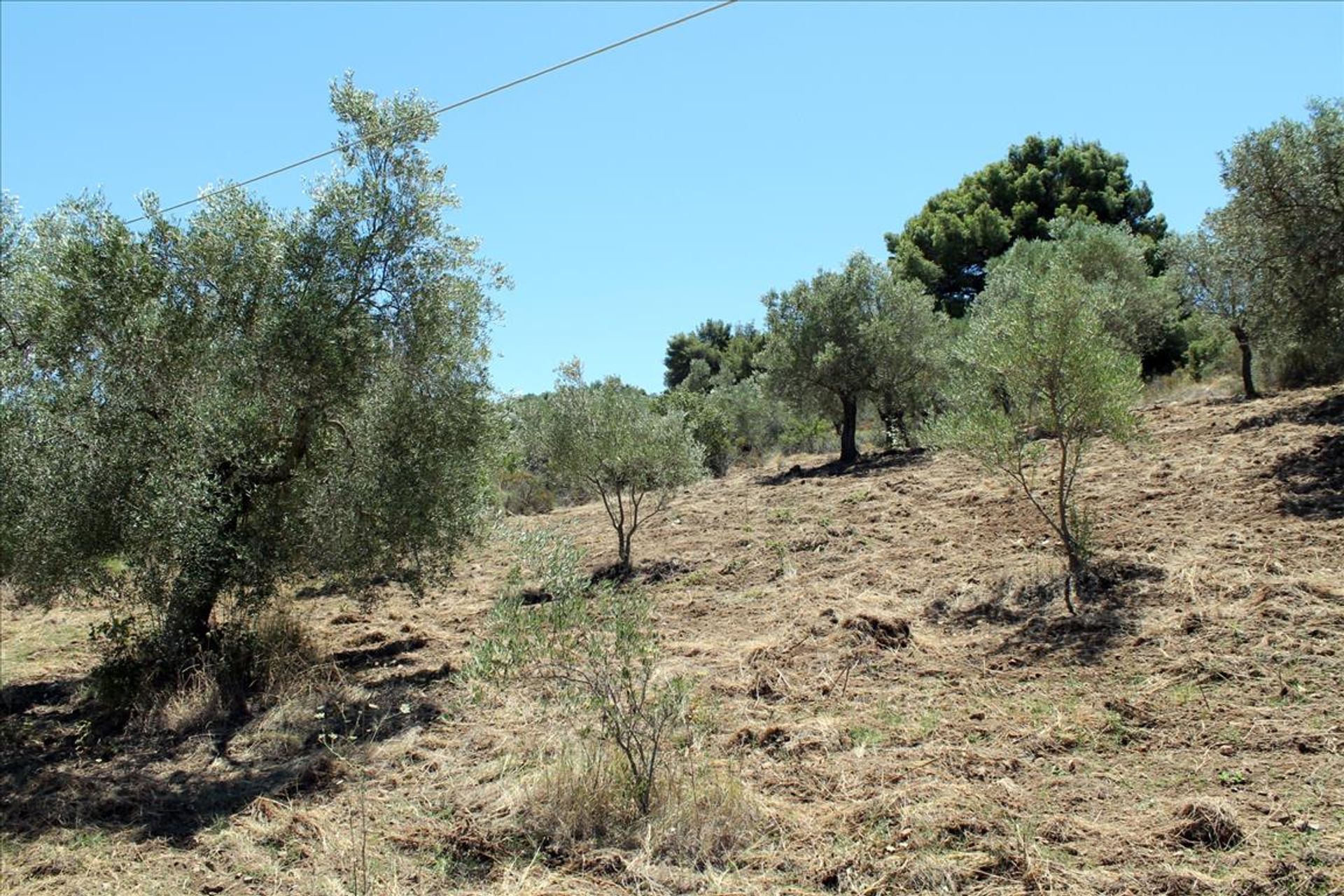 Γη σε Νέος Μαρμαράς, Κεντρική Μακεδονία 10809069