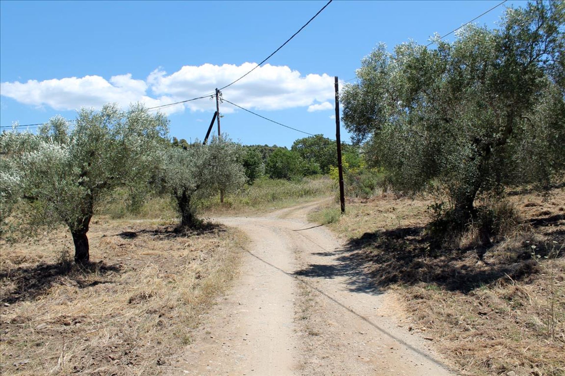 Land i Neos Marmaras, Kentriki Makedonia 10809069