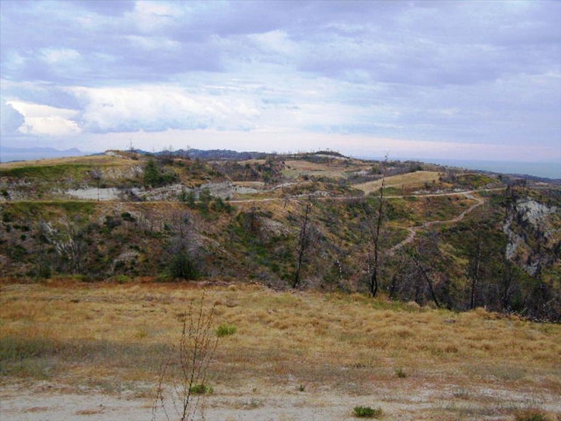 Land im Kassandreia, Kentriki Makedonia 10809071