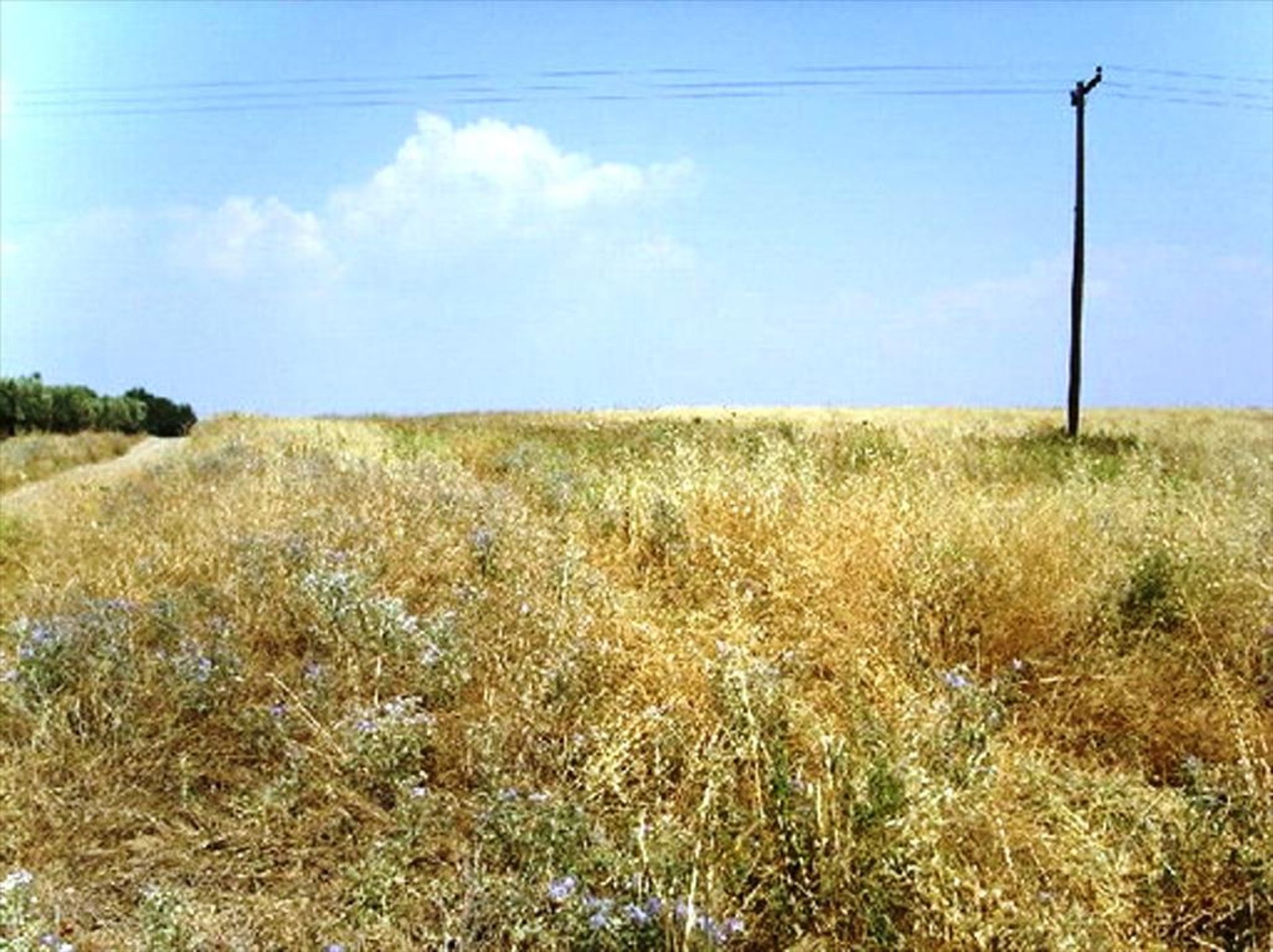 土地 在 Ano Scholari, Kentriki Makedonia 10809072