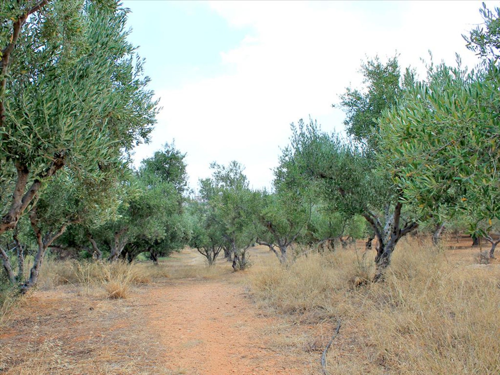 Γη σε Ανισάρας, Κρήτης 10809085