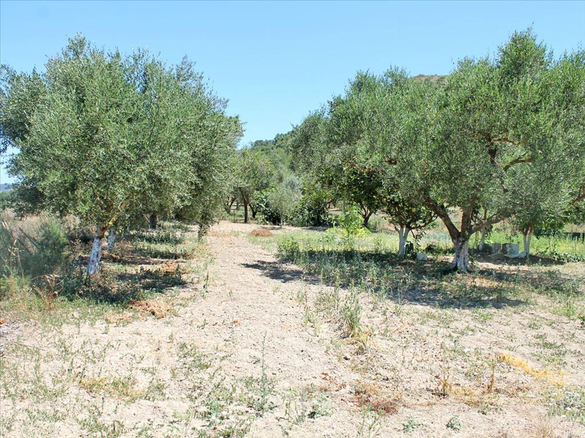 Land i Zakinthos,  10809100