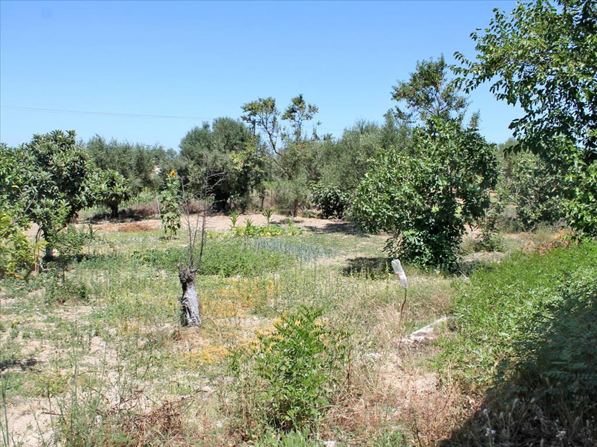 Земля в Zakinthos,  10809100