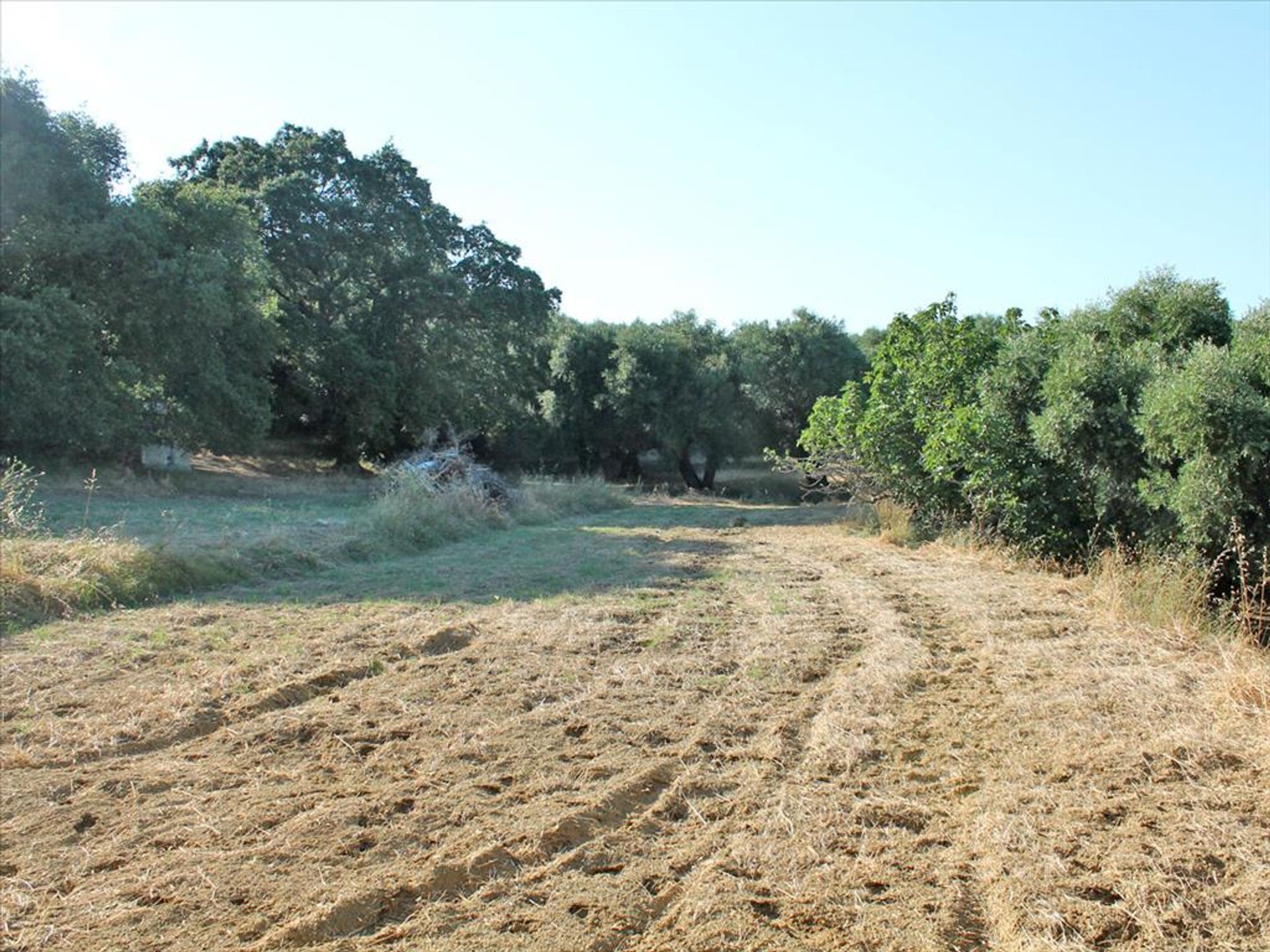 Land in Ampelokipoi, Ionia Nisia 10809103