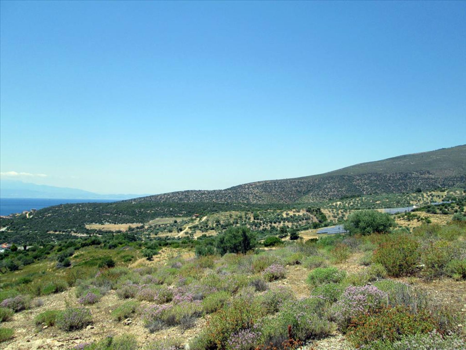 Tanah dalam Kallirachi, Anatoliki Makedonia kai Thraki 10809116