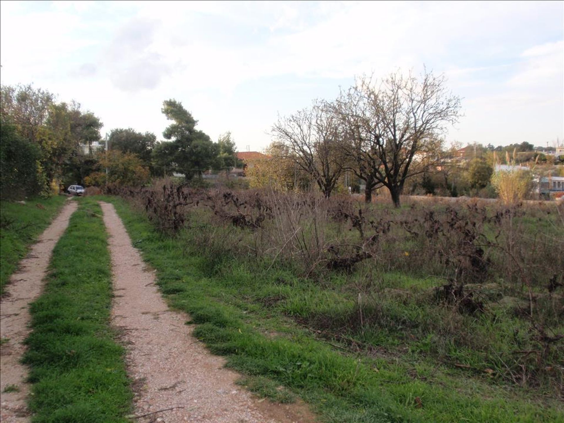 Land i Irakleio, Attiki 10809125