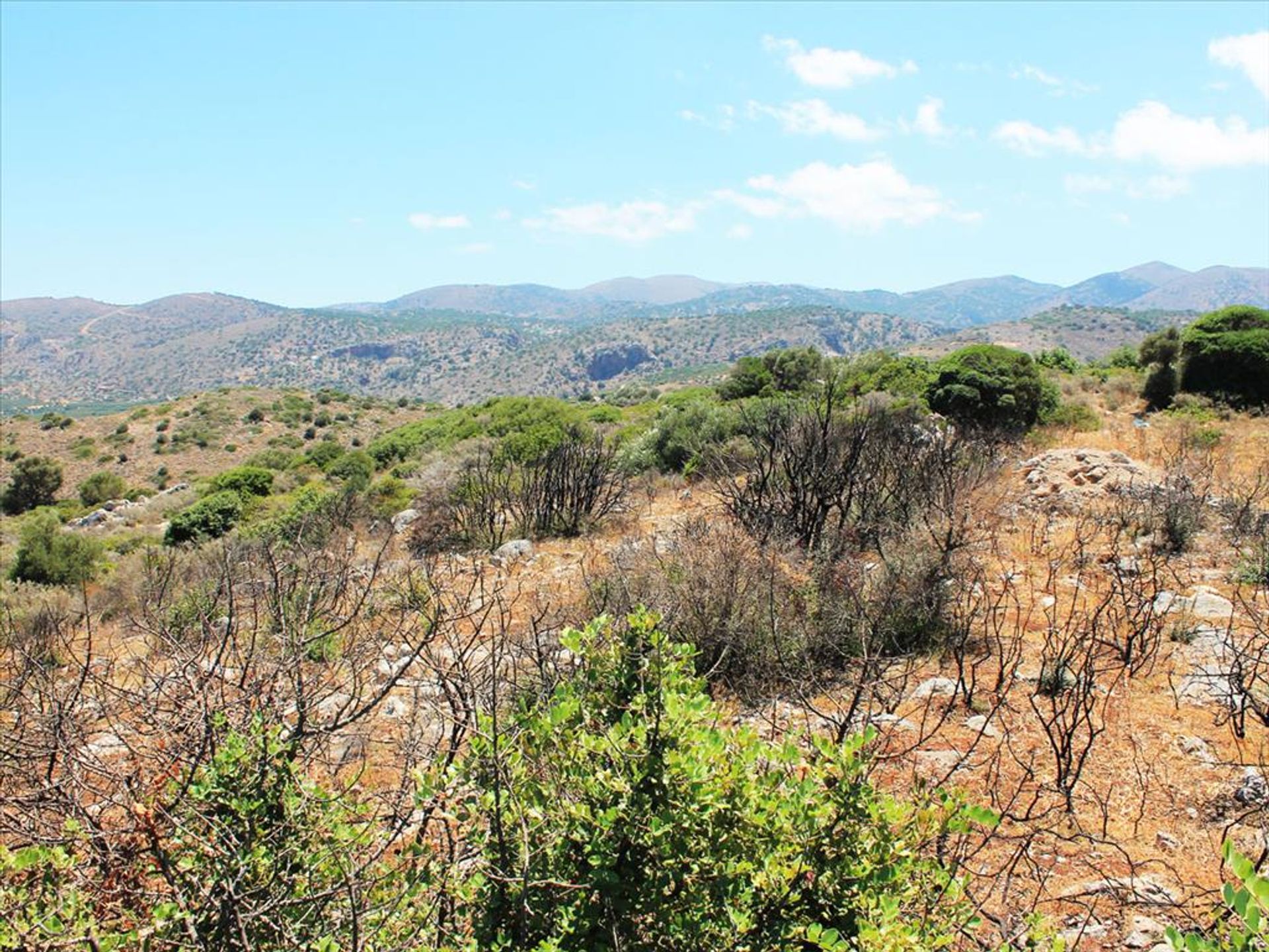 Terra no Malia, Criti 10809145