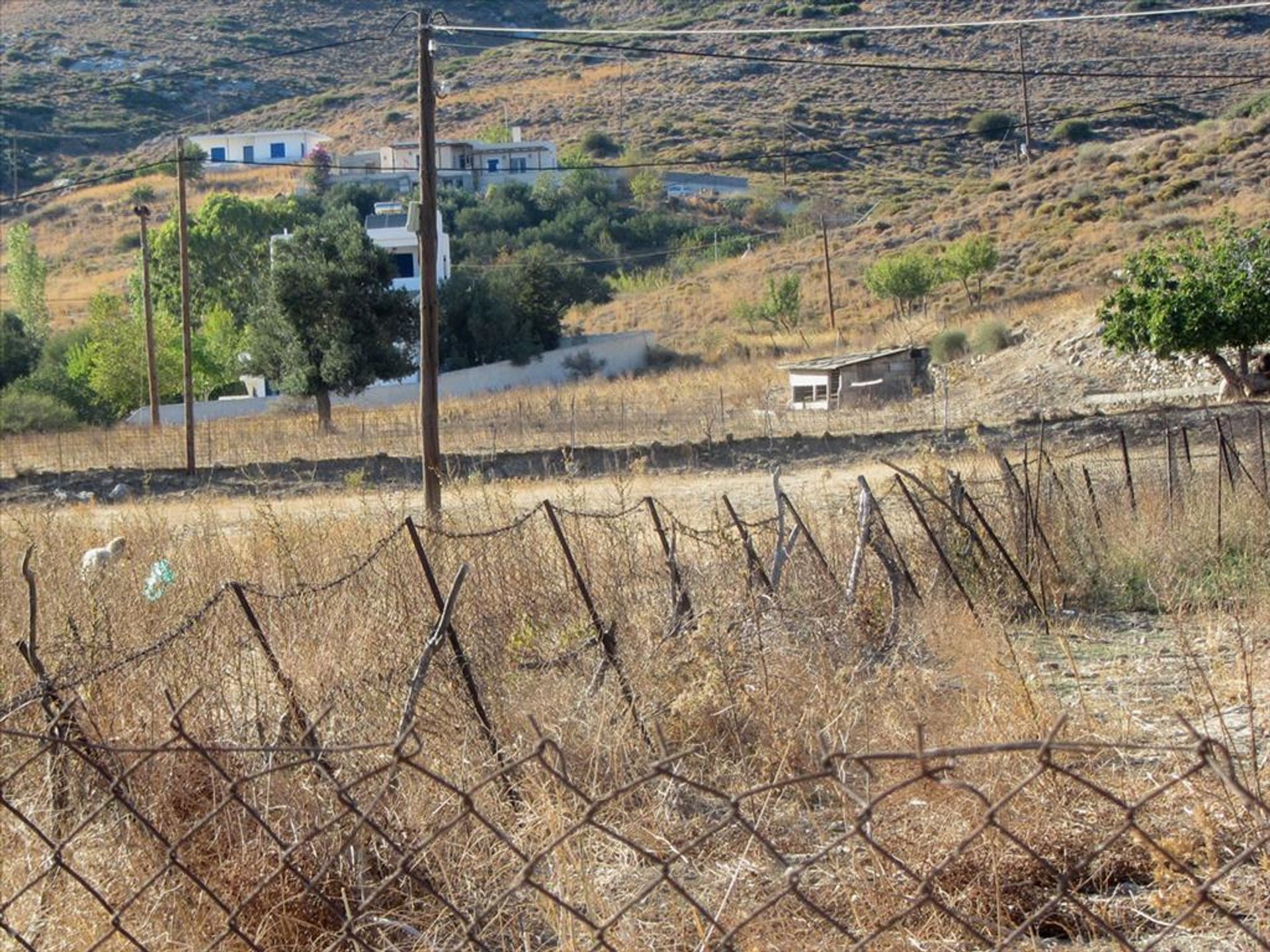 Terre dans Karystos, Sterea Ellada 10809158