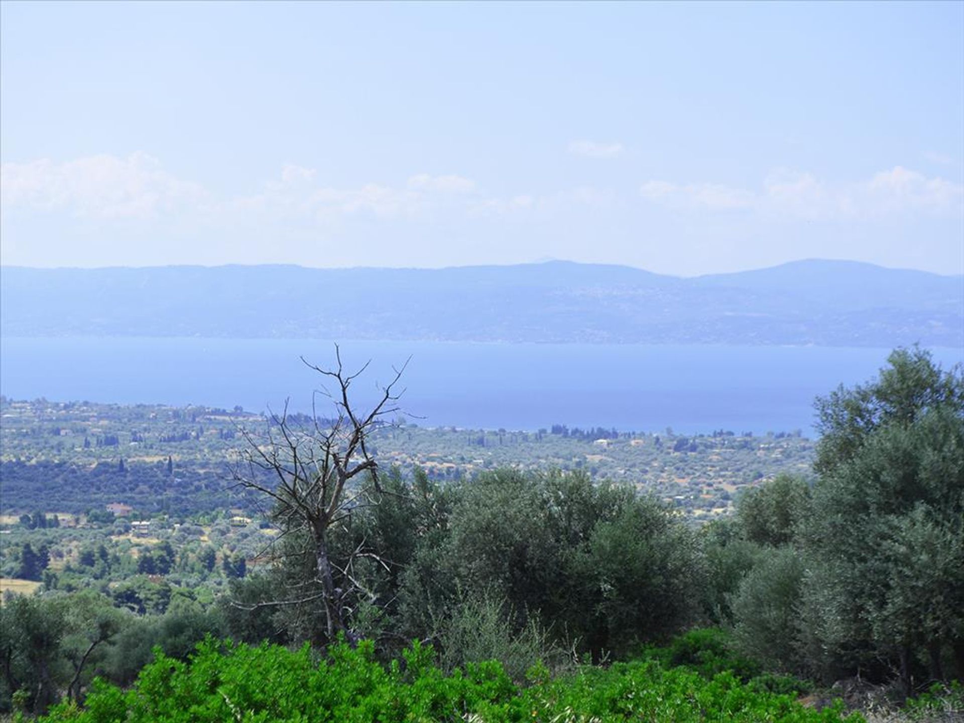 Land i Eretria, Sterea Ellada 10809272