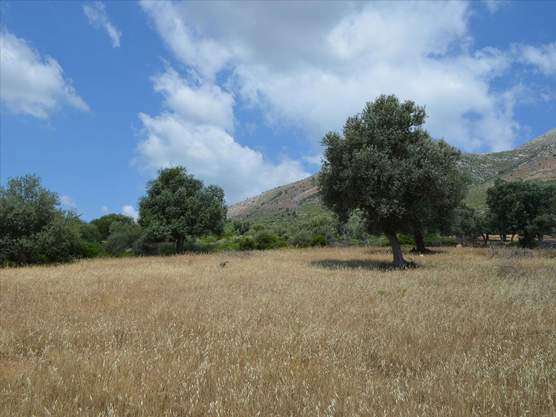 Land i Eretria, Sterea Ellada 10809272