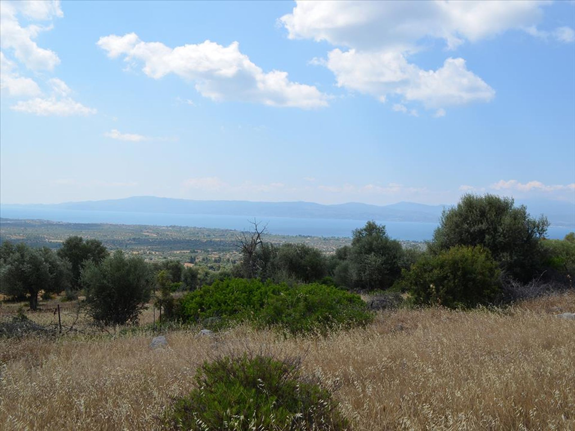 Land in Eretria, Sterea Ellada 10809272