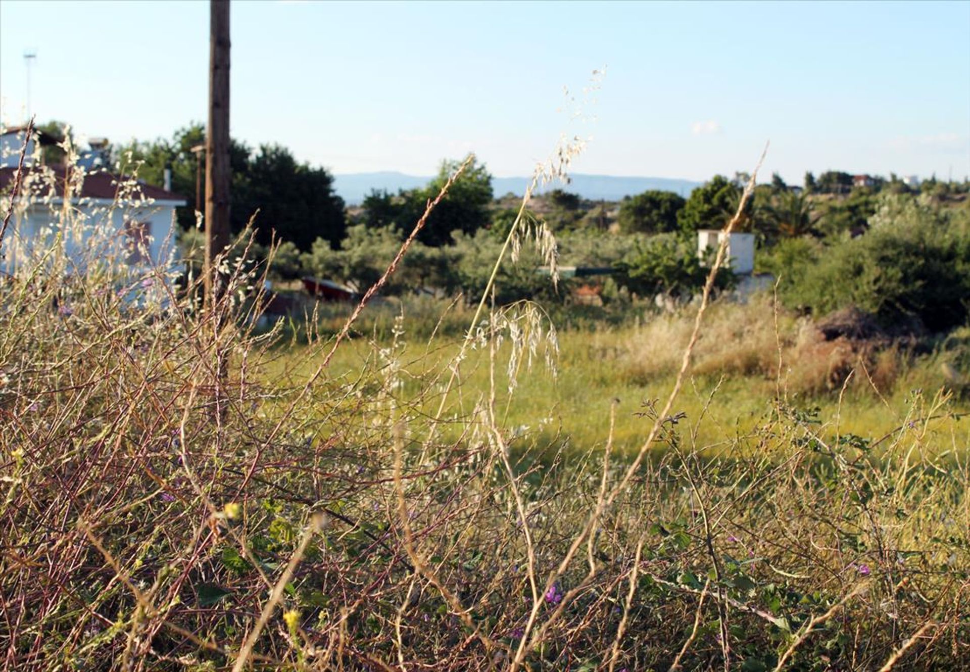 Maa sisään Nikiti, Kentriki Makedonia 10809279