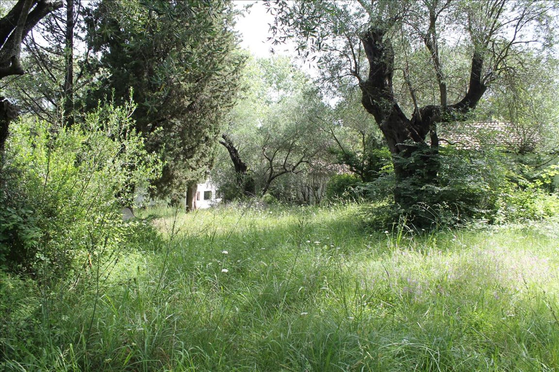 Land in Agnos,  10809283