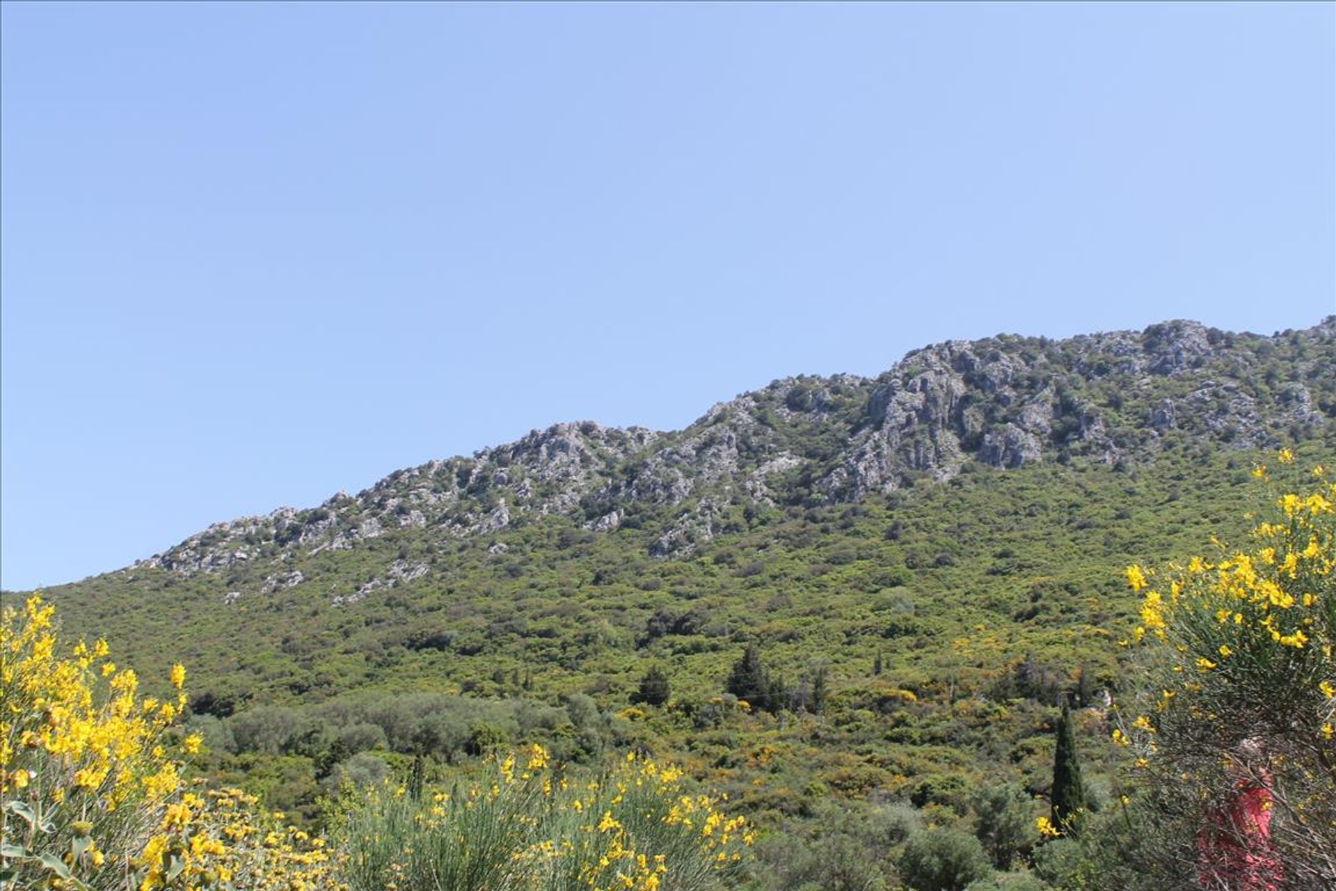 Terra no Ágios Markos, Ionia Nísia 10809314