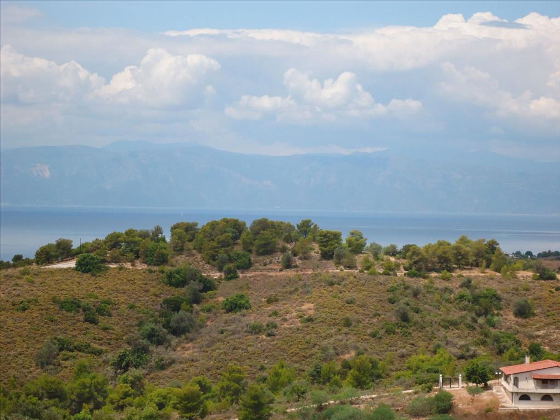 Terre dans Agios Andréas, Péloponnèse 10809335