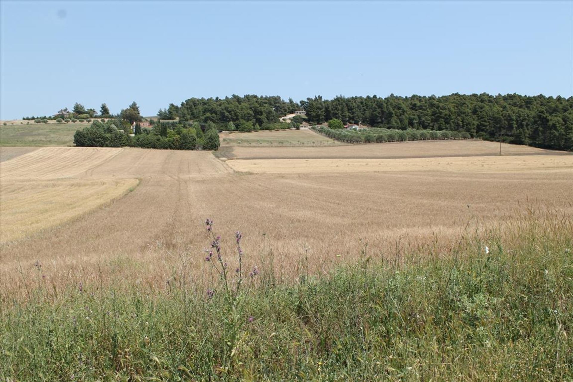 Γη σε Νέα Ποτειδαία, Κεντρική Μακεδονία 10809378