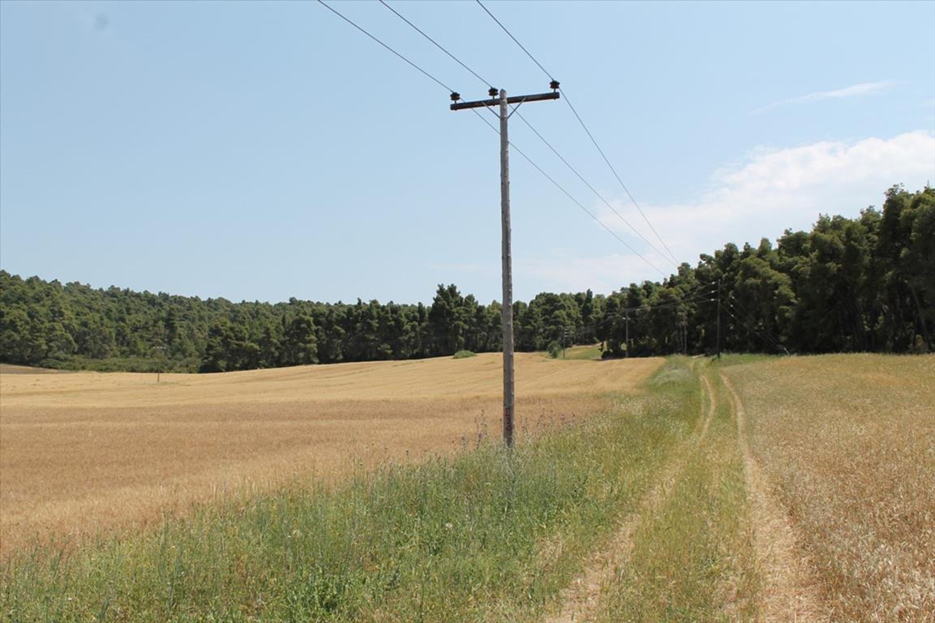 Land in Nea Poteidaia, Kentriki Makedonia 10809378