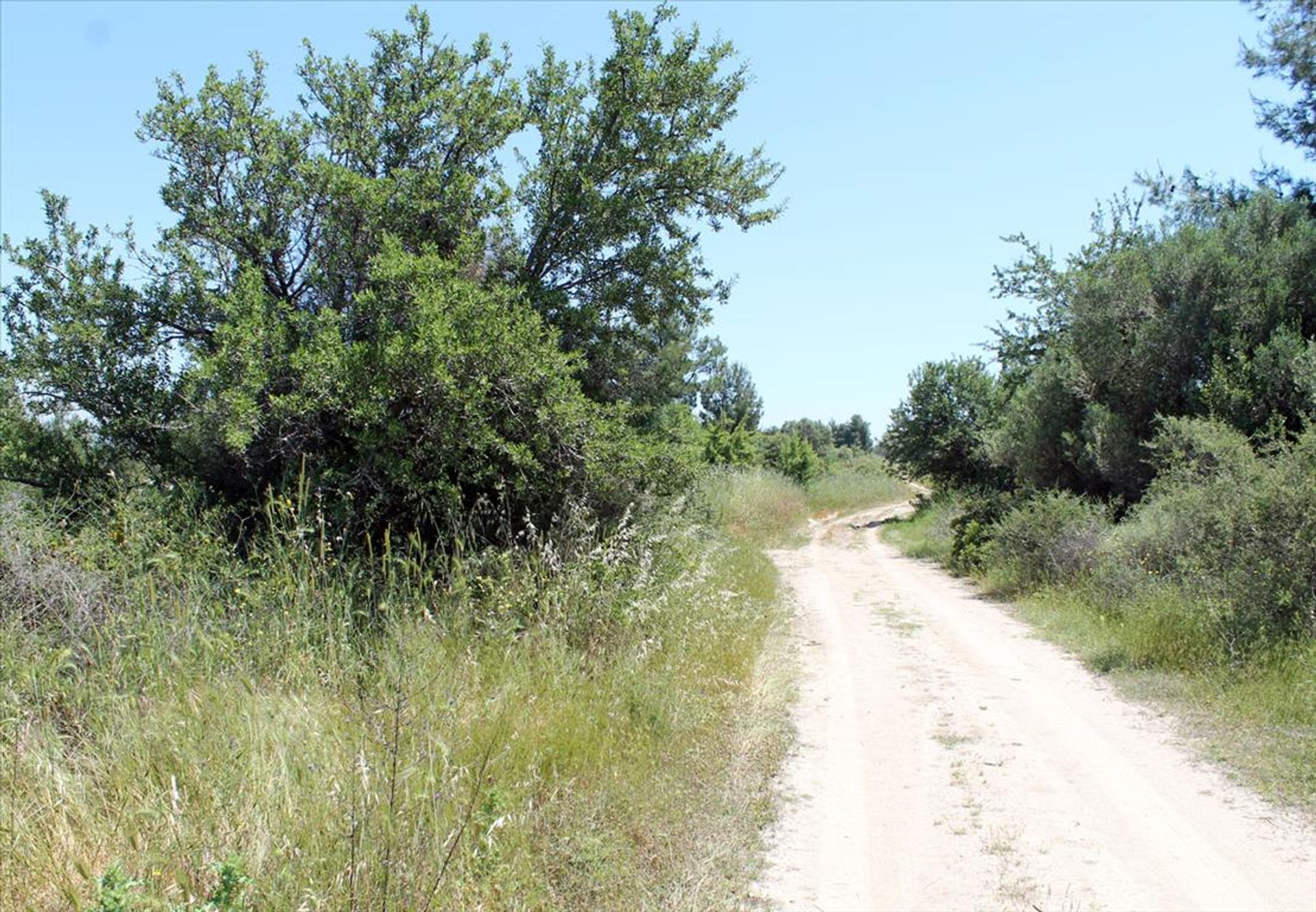 Γη σε Νέος Μαρμαράς, Κεντρική Μακεδονία 10809457