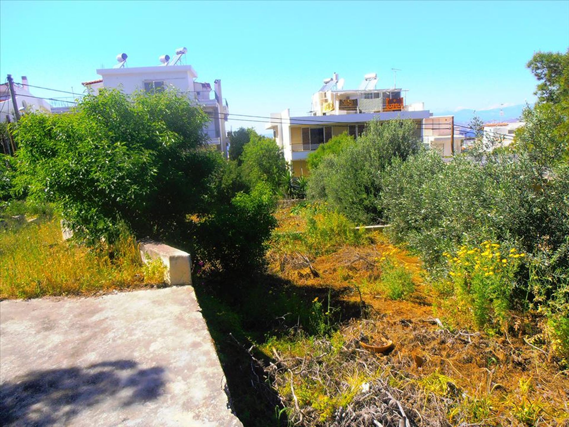 Land in Olympos, Attiki 10809472