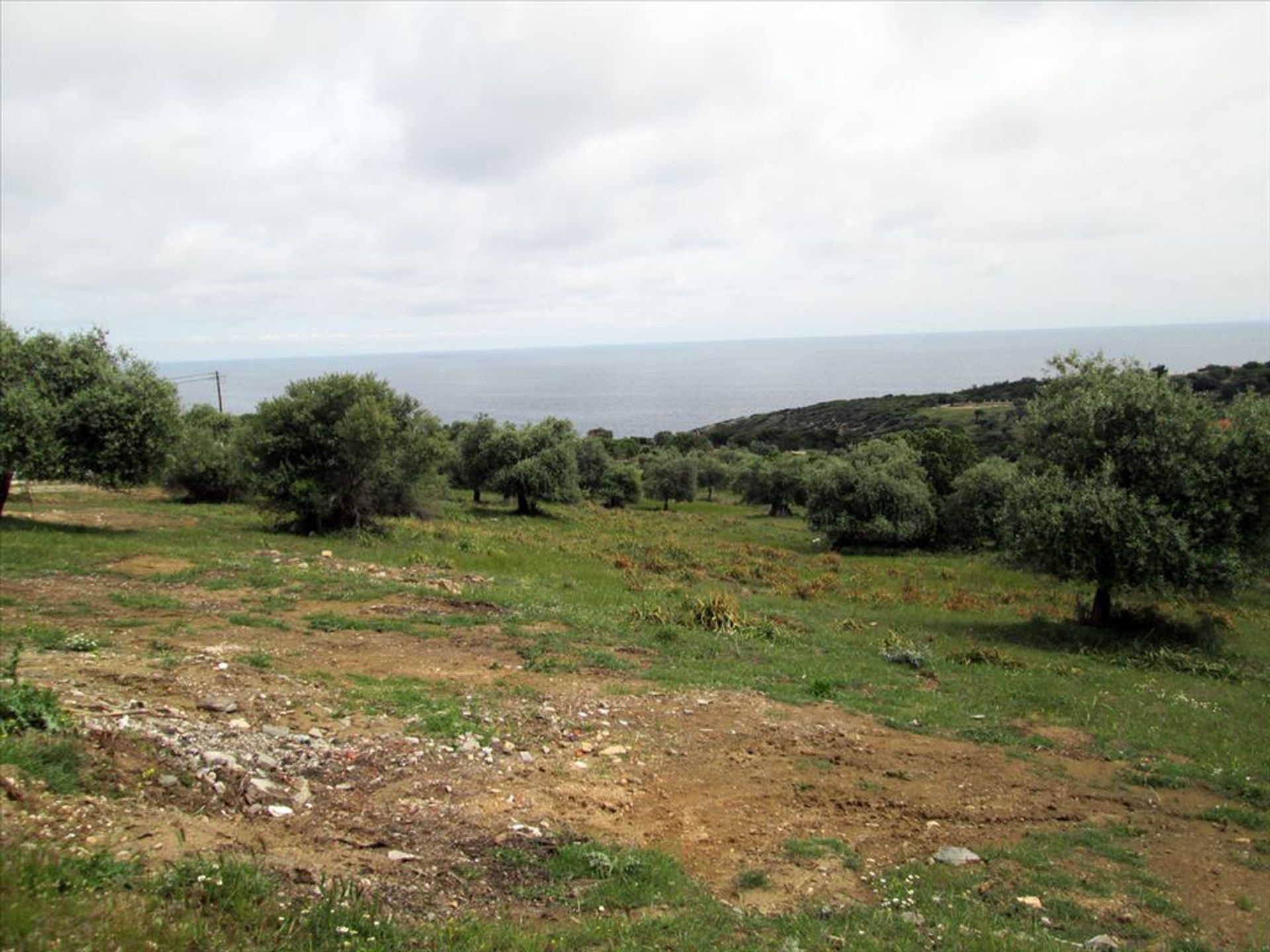 Land in Theologos, Anatoliki Makedonia kai Thraki 10809524