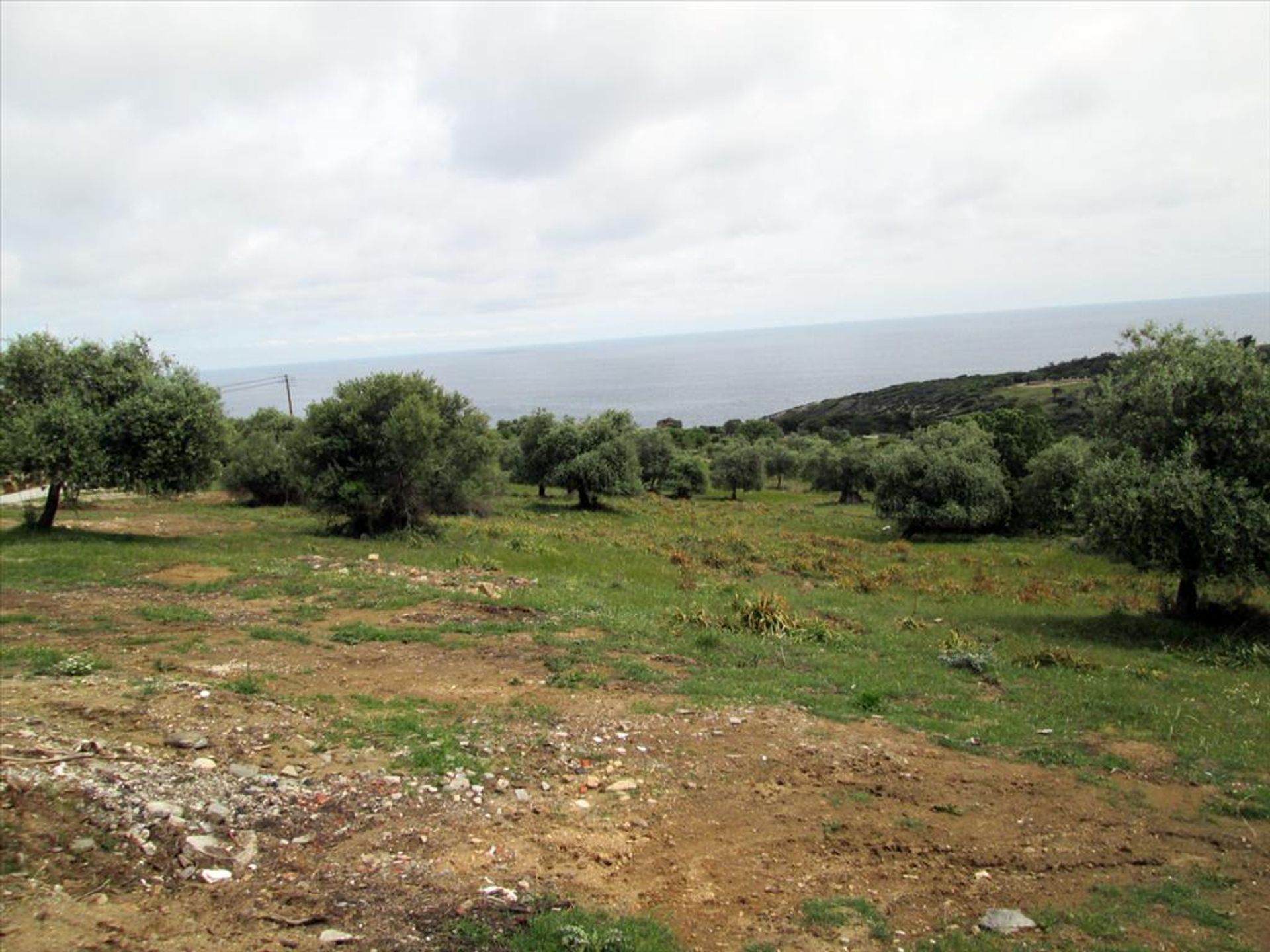 Land in Theologos, Anatoliki Makedonia kai Thraki 10809524