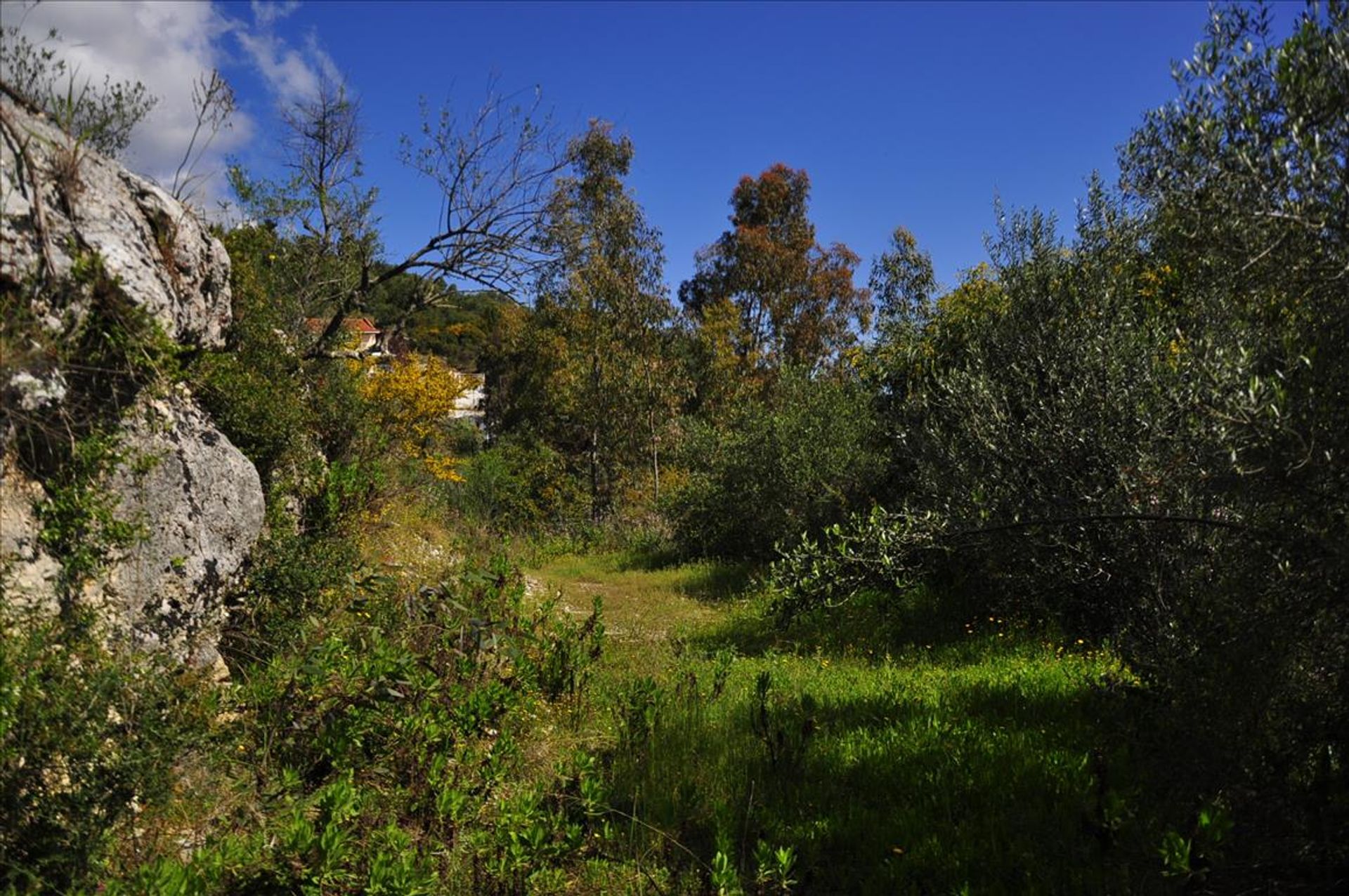 Terra no Pitsiota, Sterea Ellada 10809593