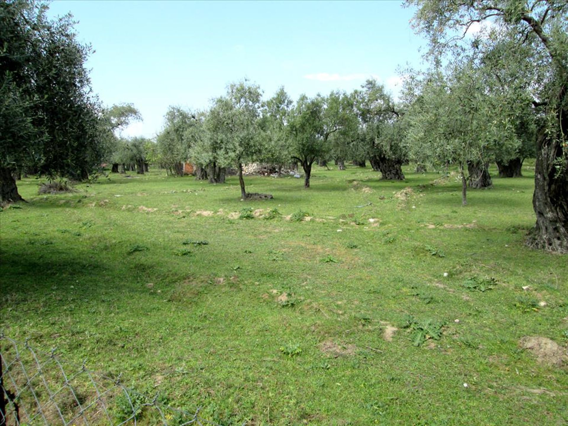 Land in Maries, Anatoliki Makedonia kai Thraki 10809652