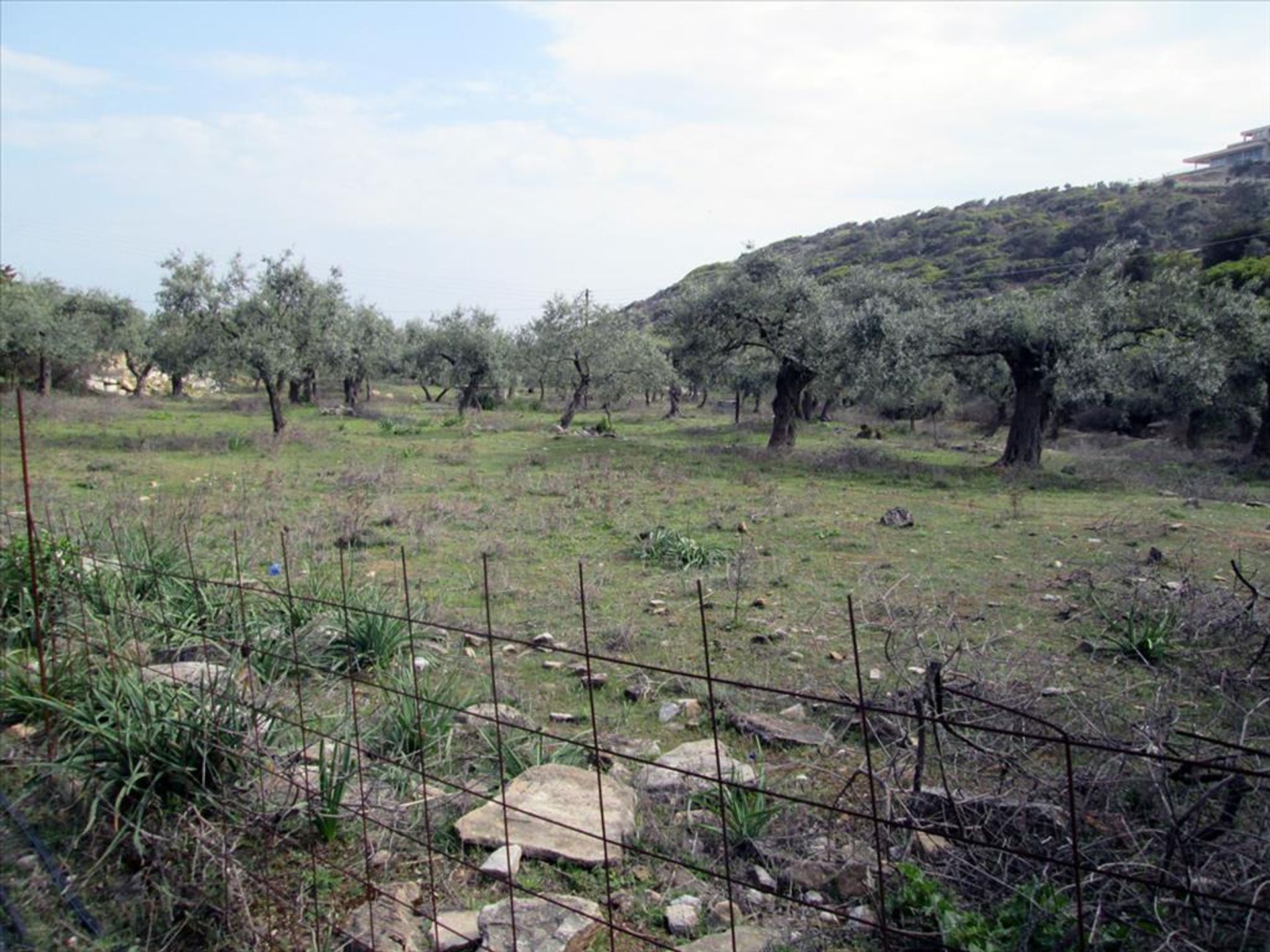 Tanah di Theologos, Anatoliki Makedonia kai Thraki 10809664