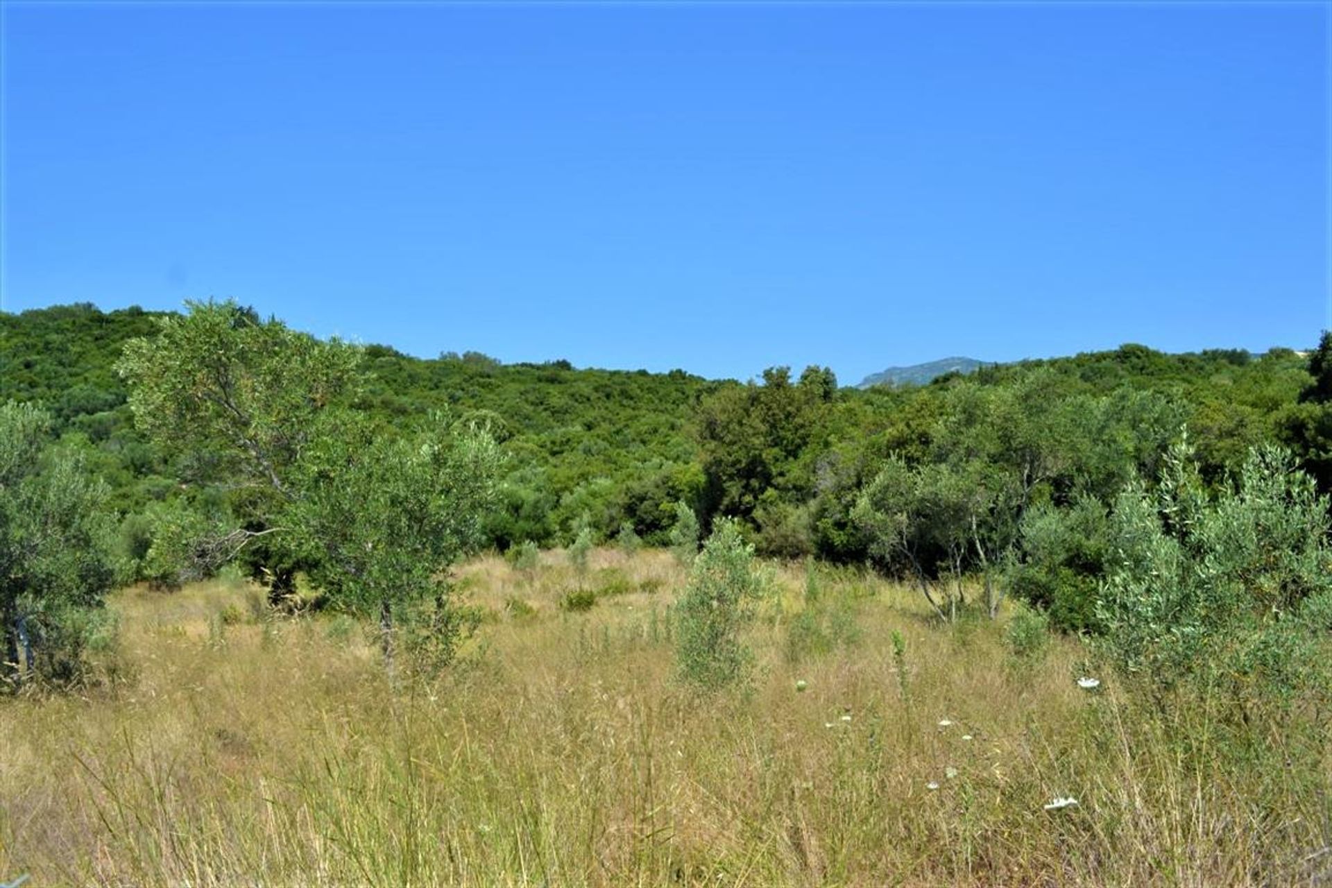 Land i Agios Vasilios,  10809694