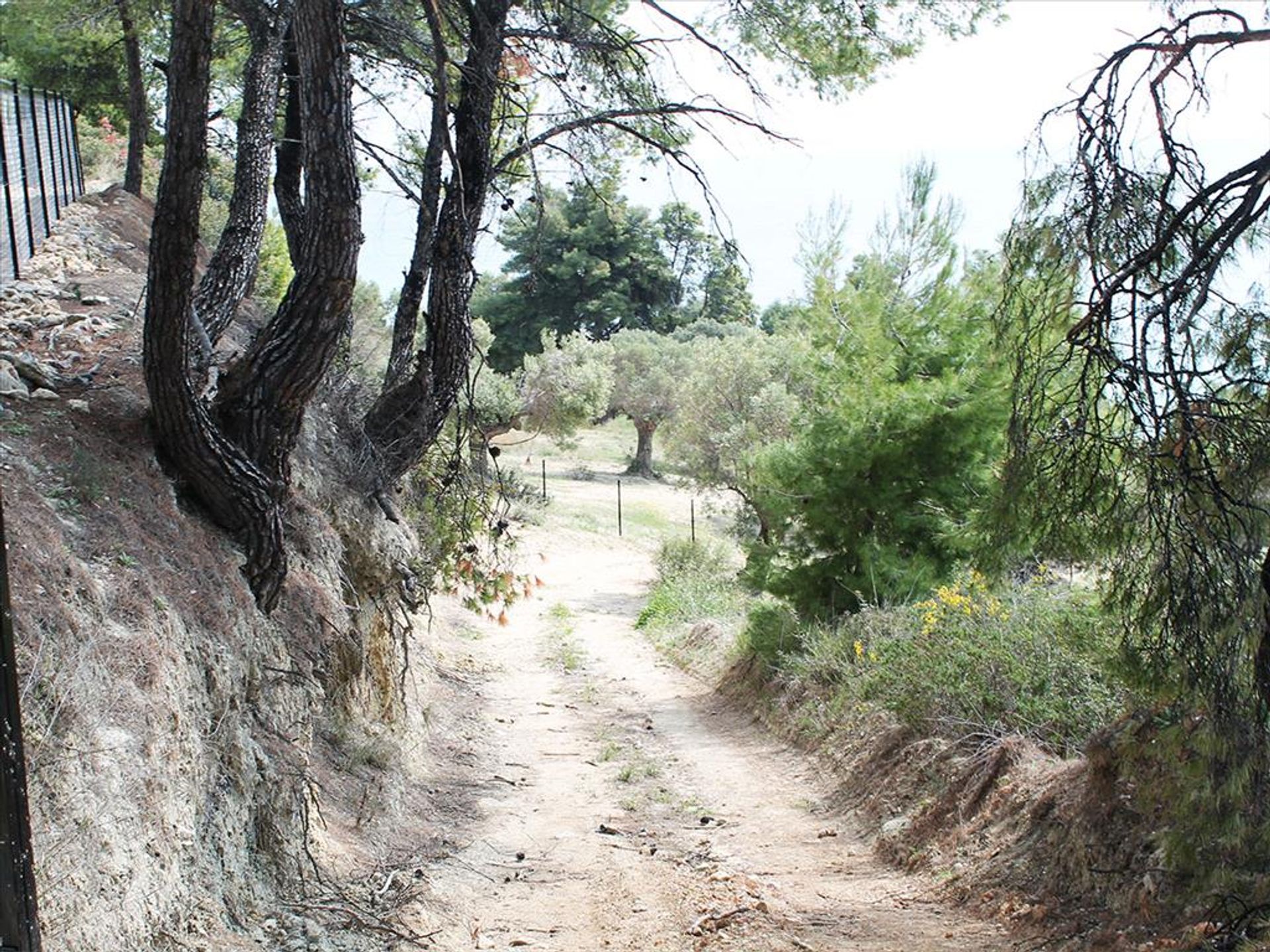 Tanah dalam Kassandreia, Kentriki Makedonia 10809710