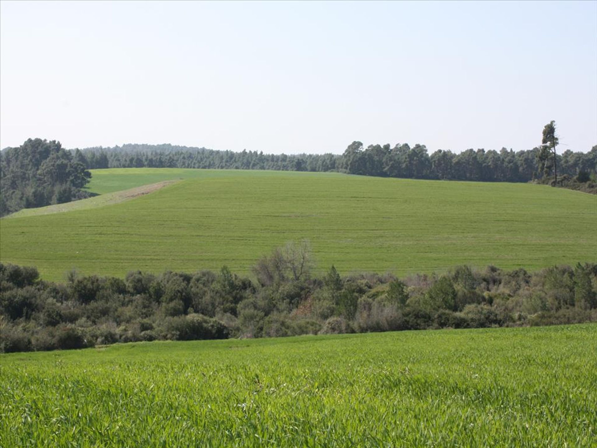 Tanah di Kassandreia, Kentriki Makedonia 10809737