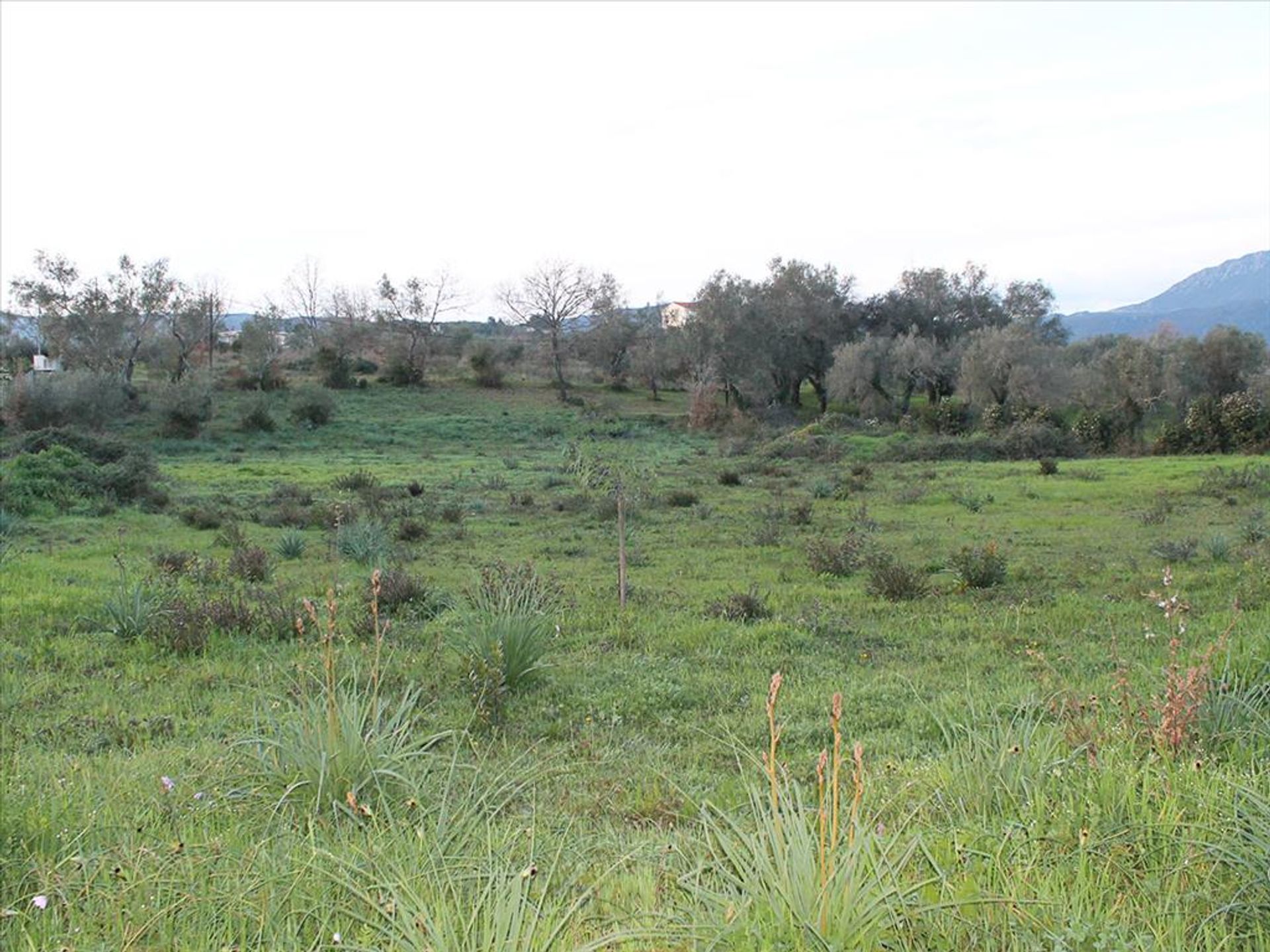 Land i Ypsos, Ionia Nisia 10809760