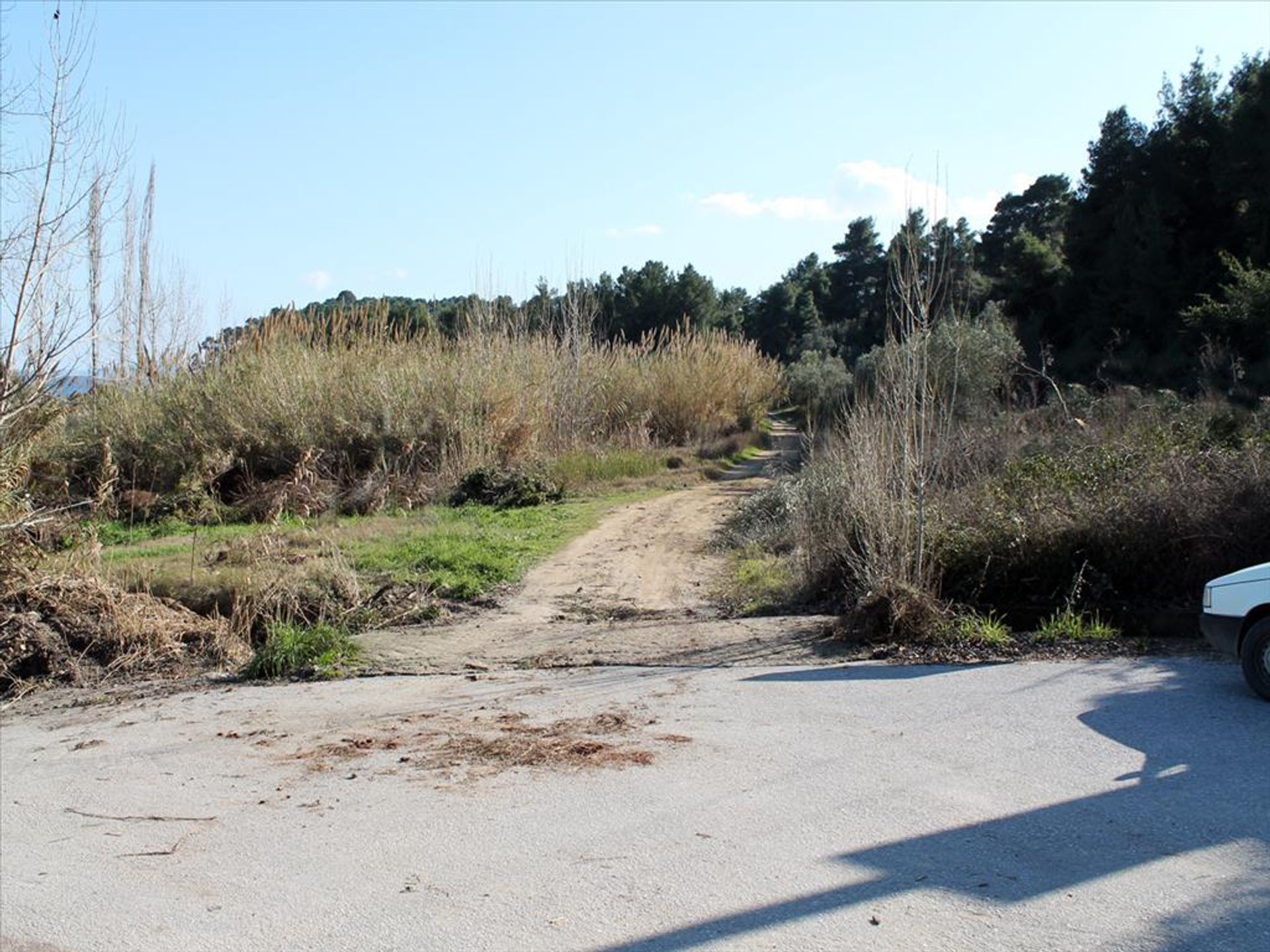 Land in Kassandreia, Kentriki Makedonia 10809772