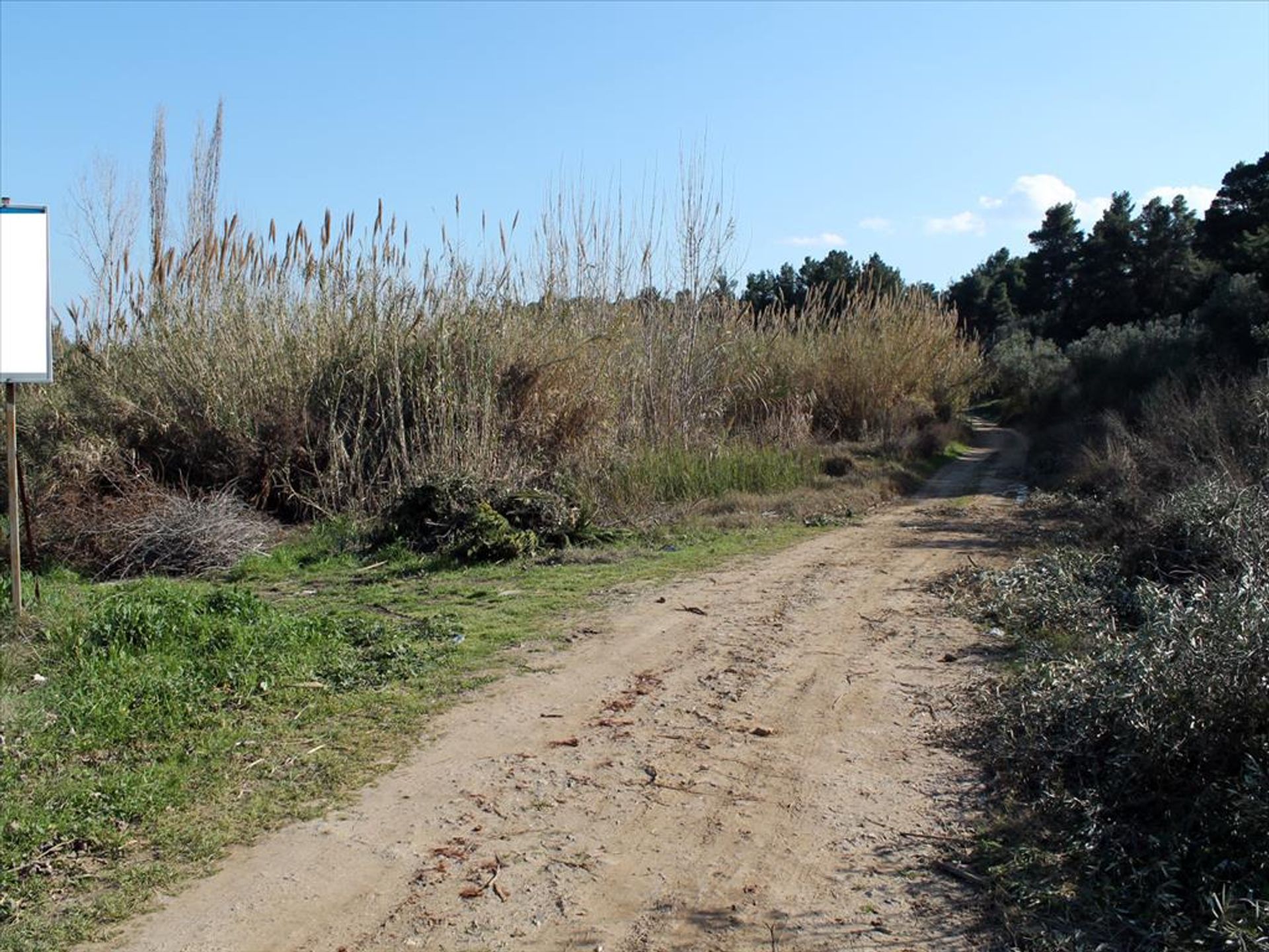 土地 在 Kassandreia, Kentriki Makedonia 10809772