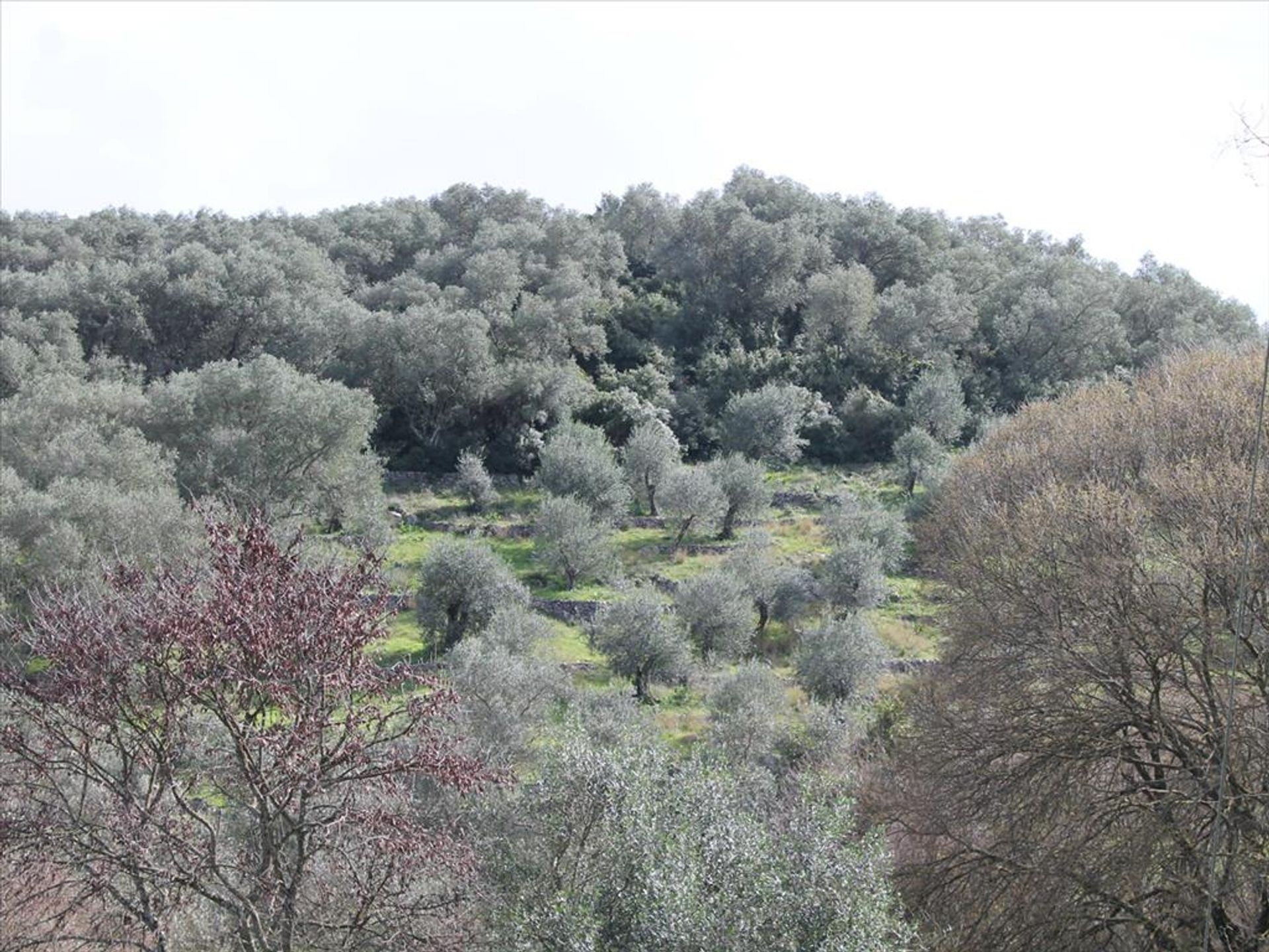 Land i Kassiopi, Ionia Nisia 10809820