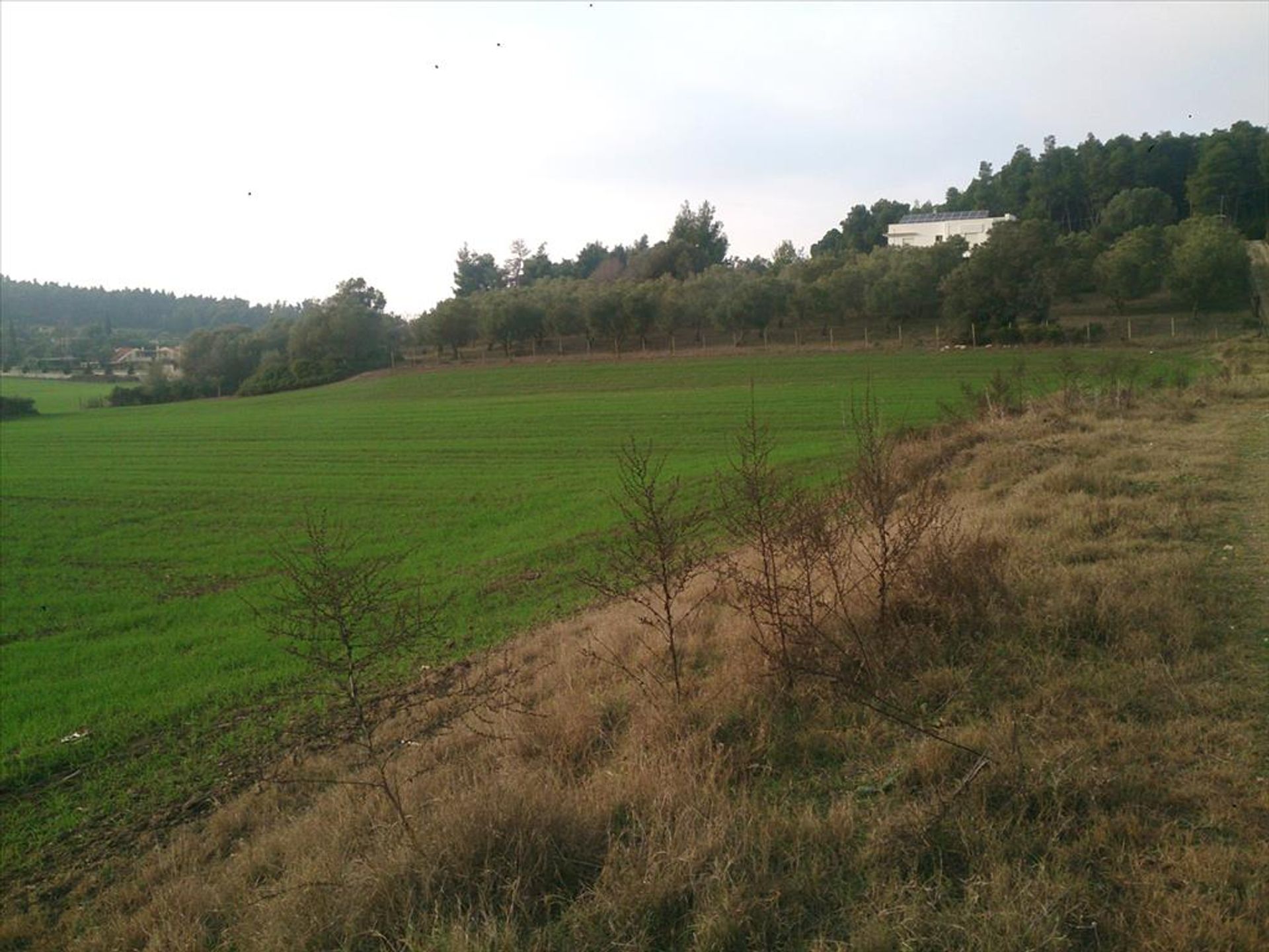 Land in Nea Poteidaia, Kentriki Makedonia 10809871