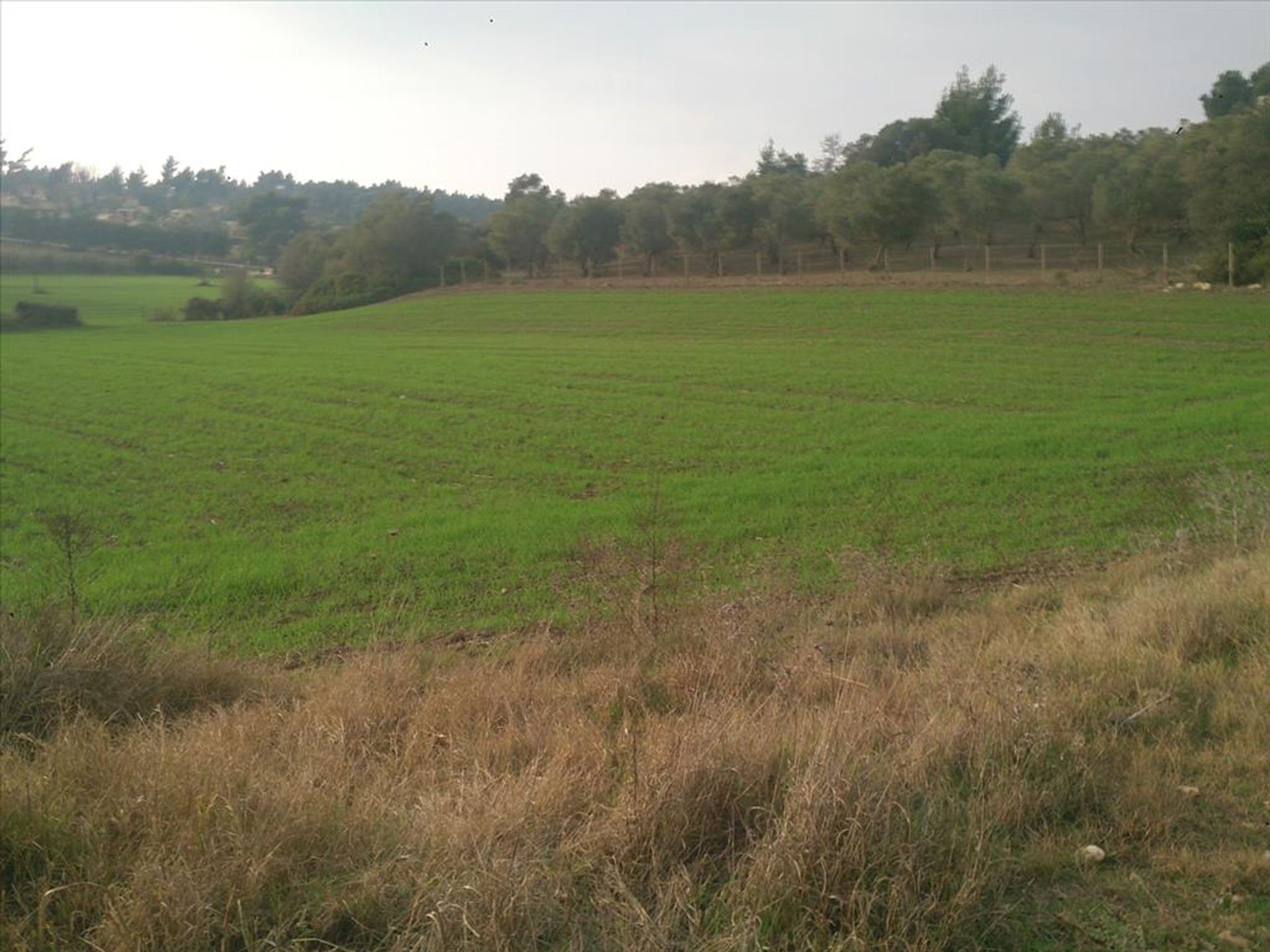 Land in Nea Poteidaia, Kentriki Makedonia 10809871