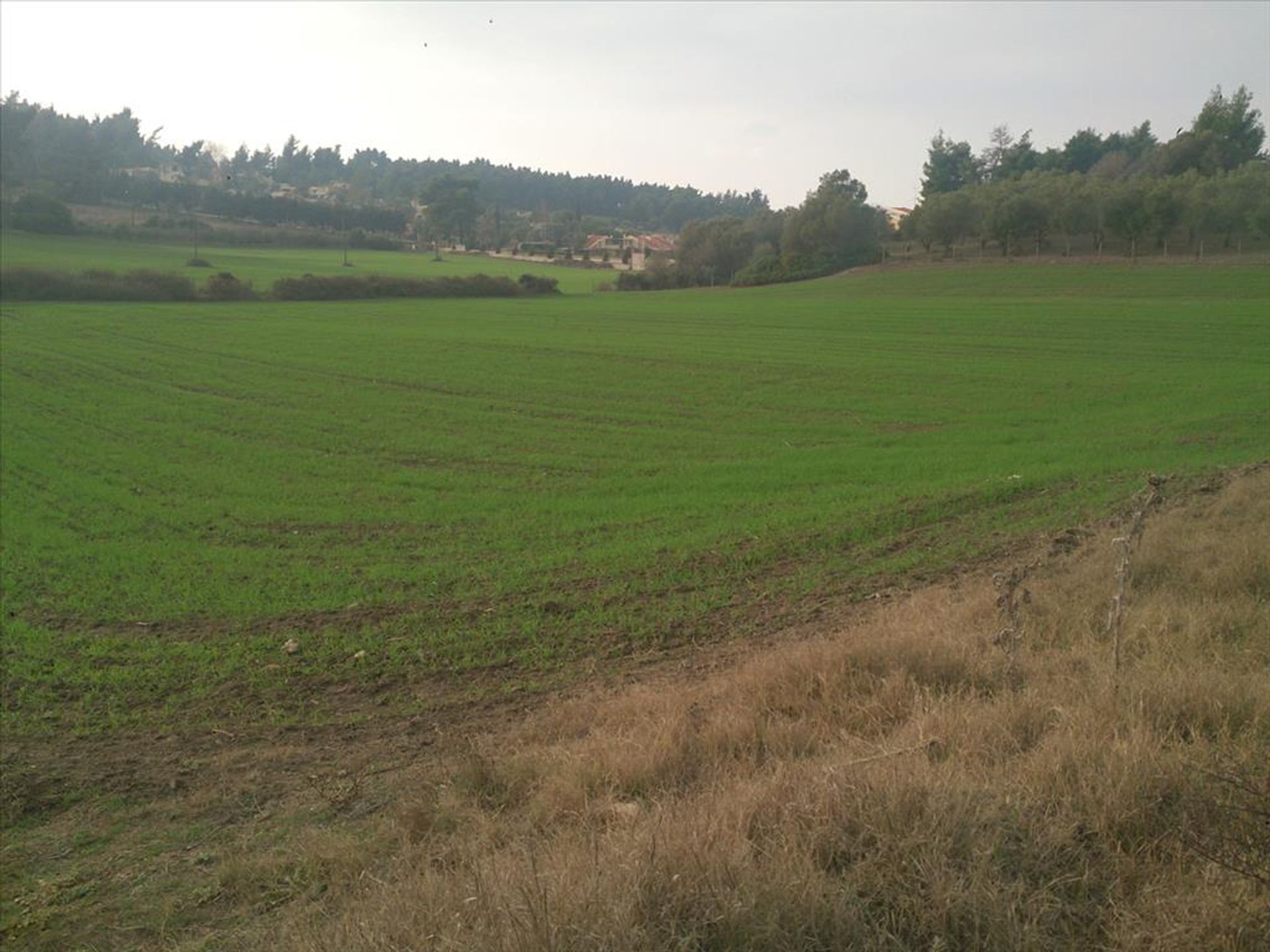 Land in Nea Poteidaia, Kentriki Makedonia 10809871