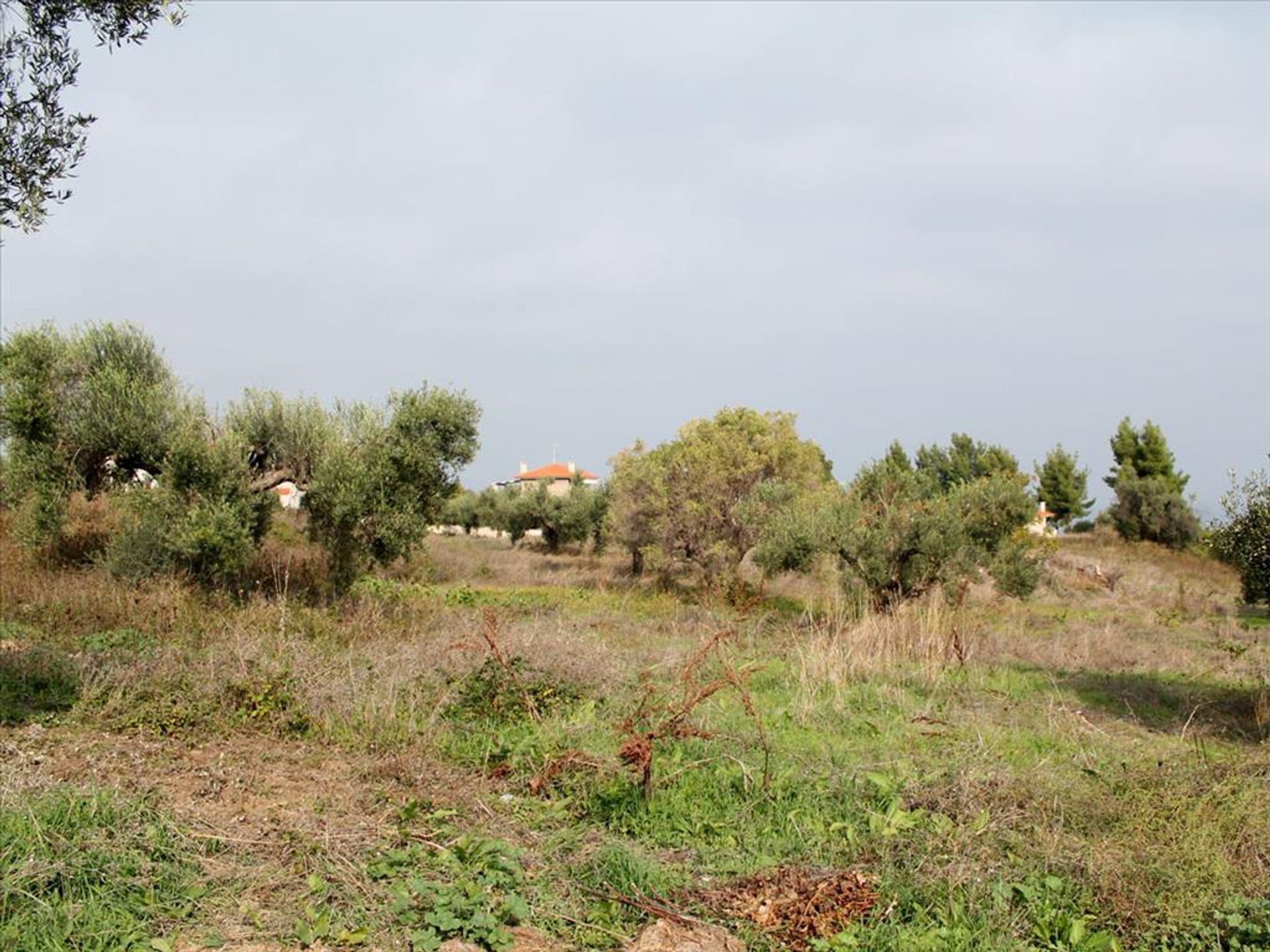 Land in Kassandreia, Kentriki Makedonia 10809880