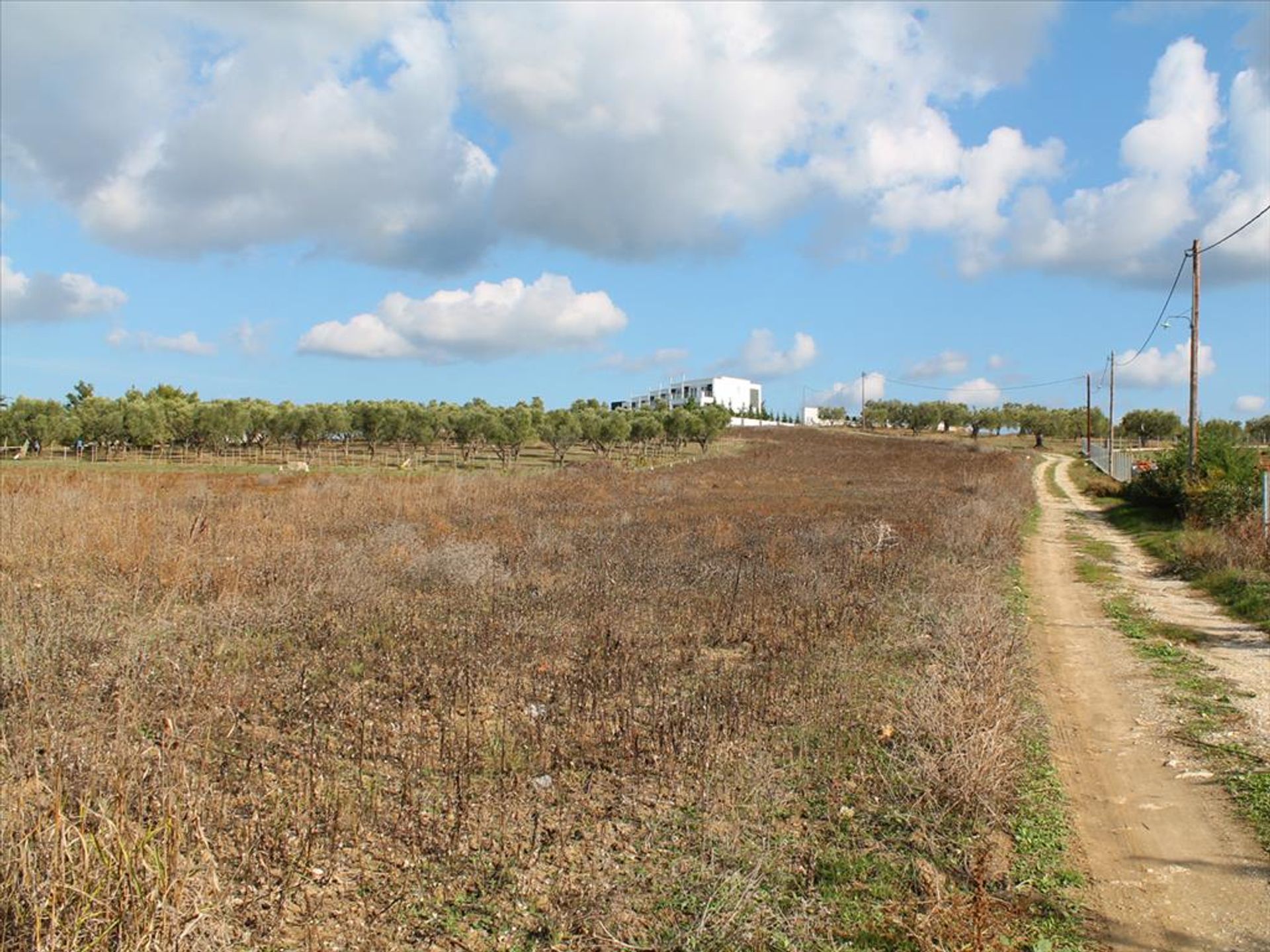 Tanah di Kassandreia, Kentriki Makedonia 10809902