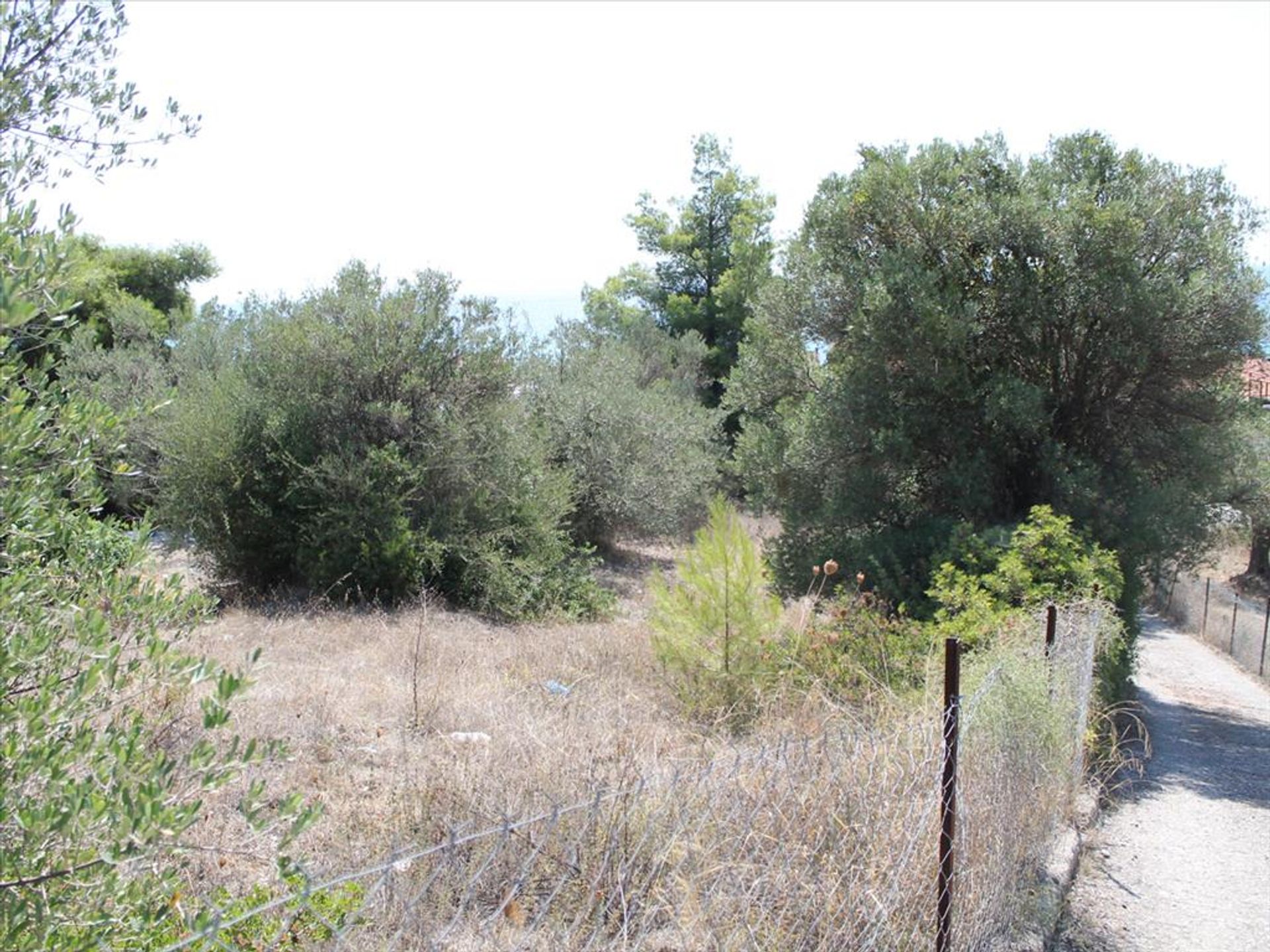 Land in Kassandreia, Kentriki Makedonia 10809946