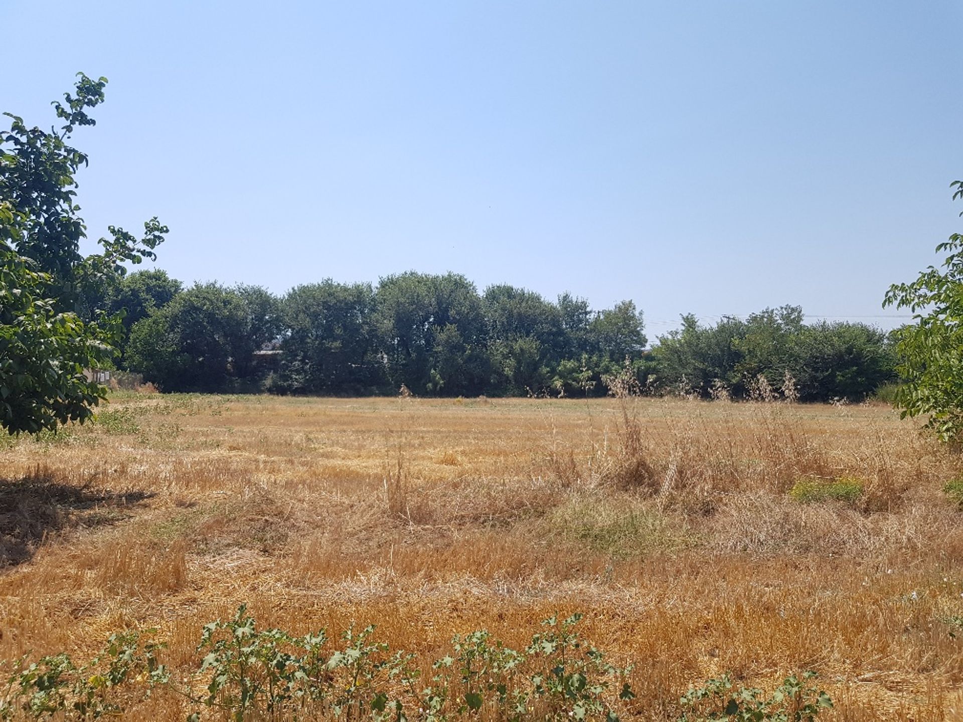 Land im Kassandreia, Kentriki Makedonia 10809983