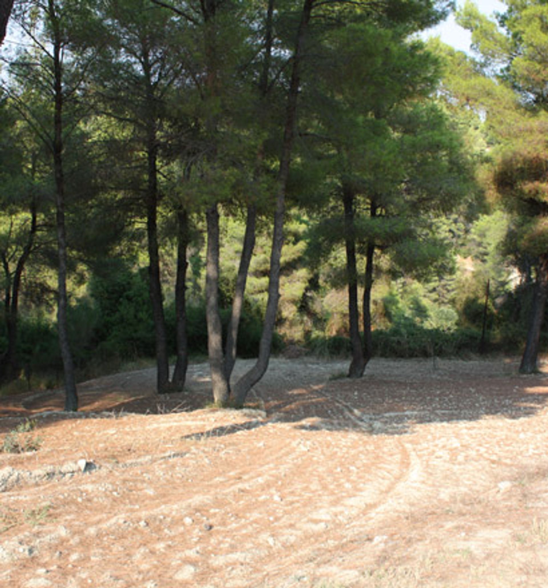 Casa nel Cassandrea, Kentriki Macedonia 10810017