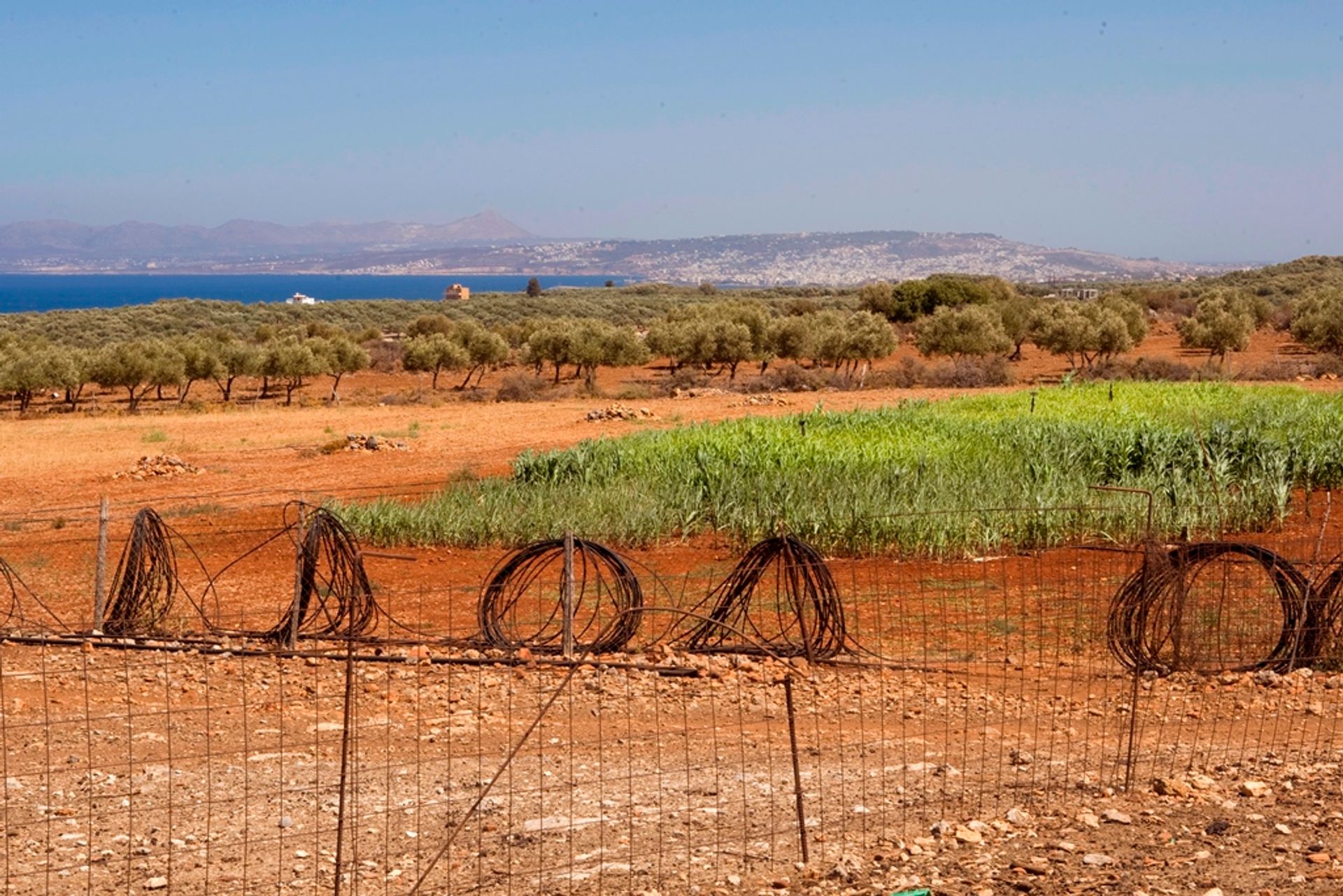 Land i Platanias, Kriti 10810040