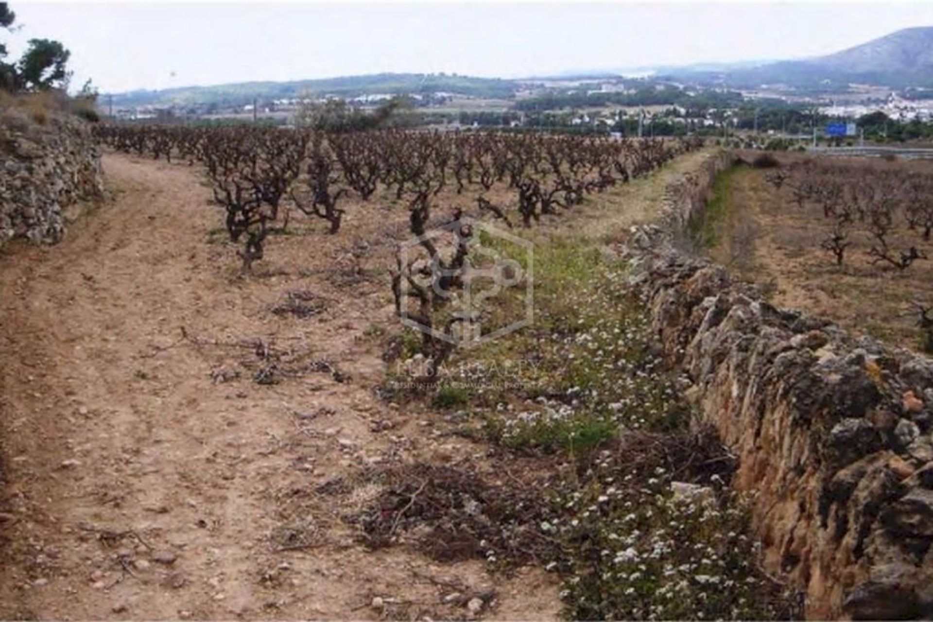 Будинок в Sant Pere de Ribes, Catalunya 10810138