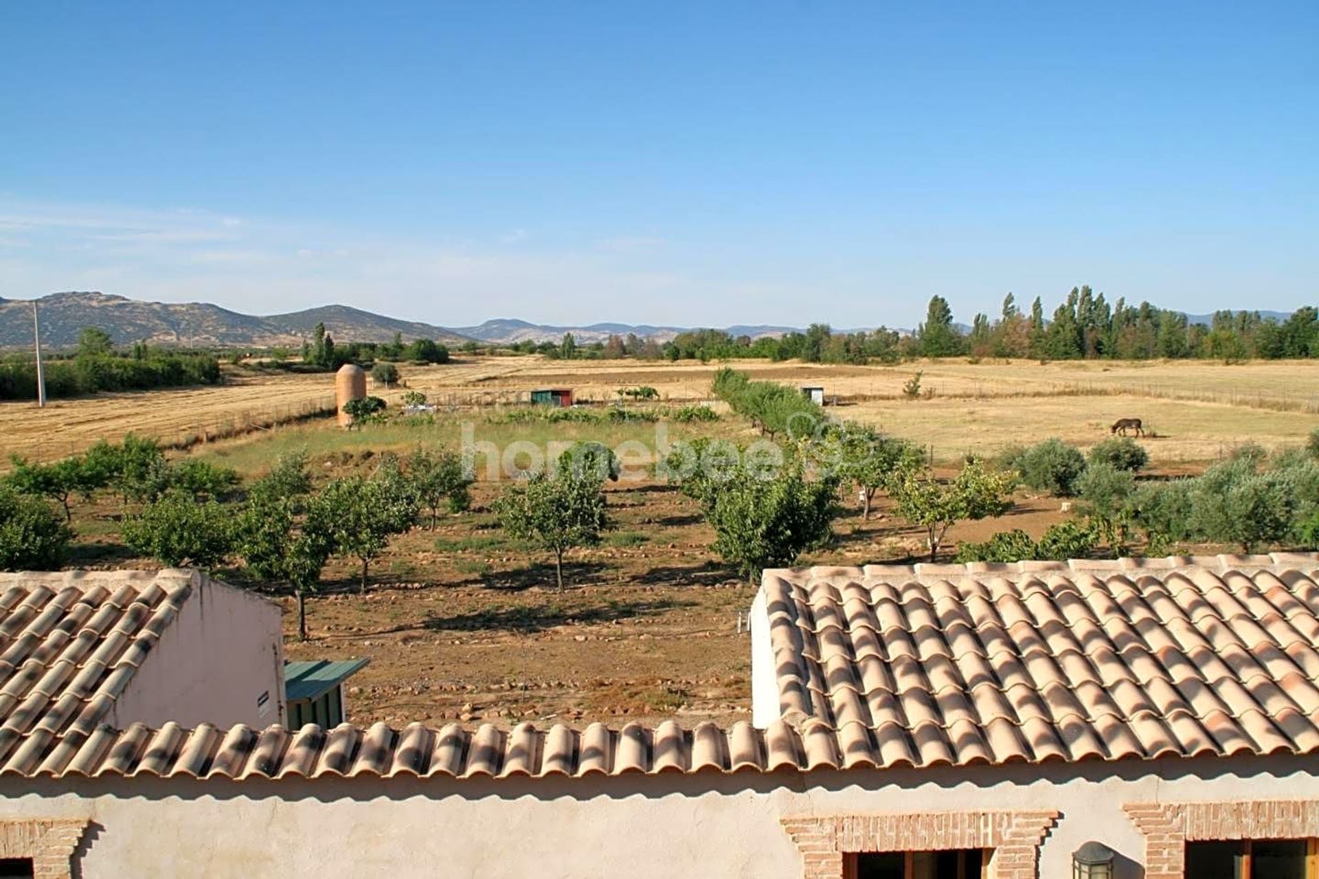 मकान में Fernán Caballero, Castilla-La Mancha 10810462