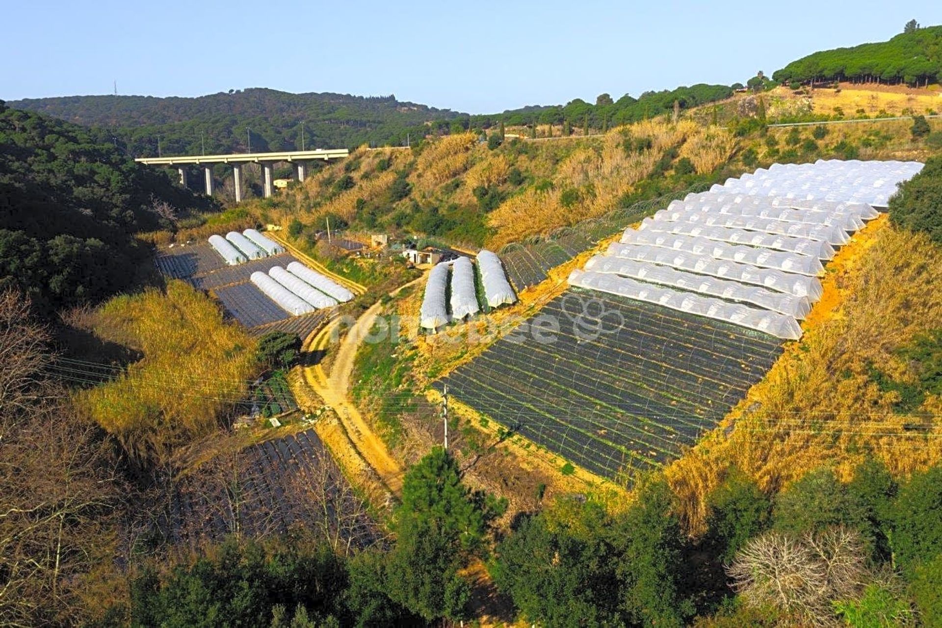 Land in San Pol de Mar, Catalonia 10810476