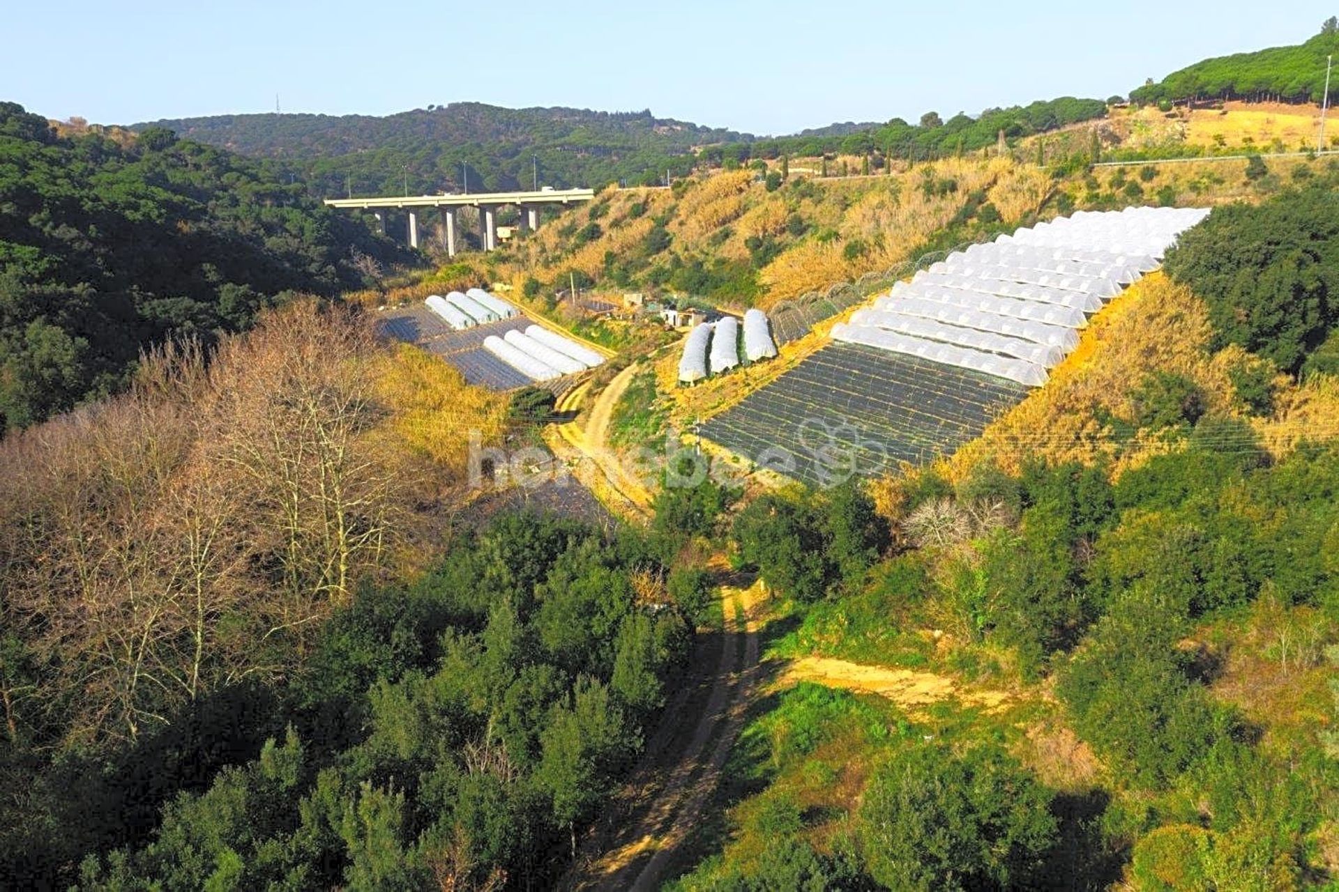 Land in San Pol de Mar, Catalonia 10810476