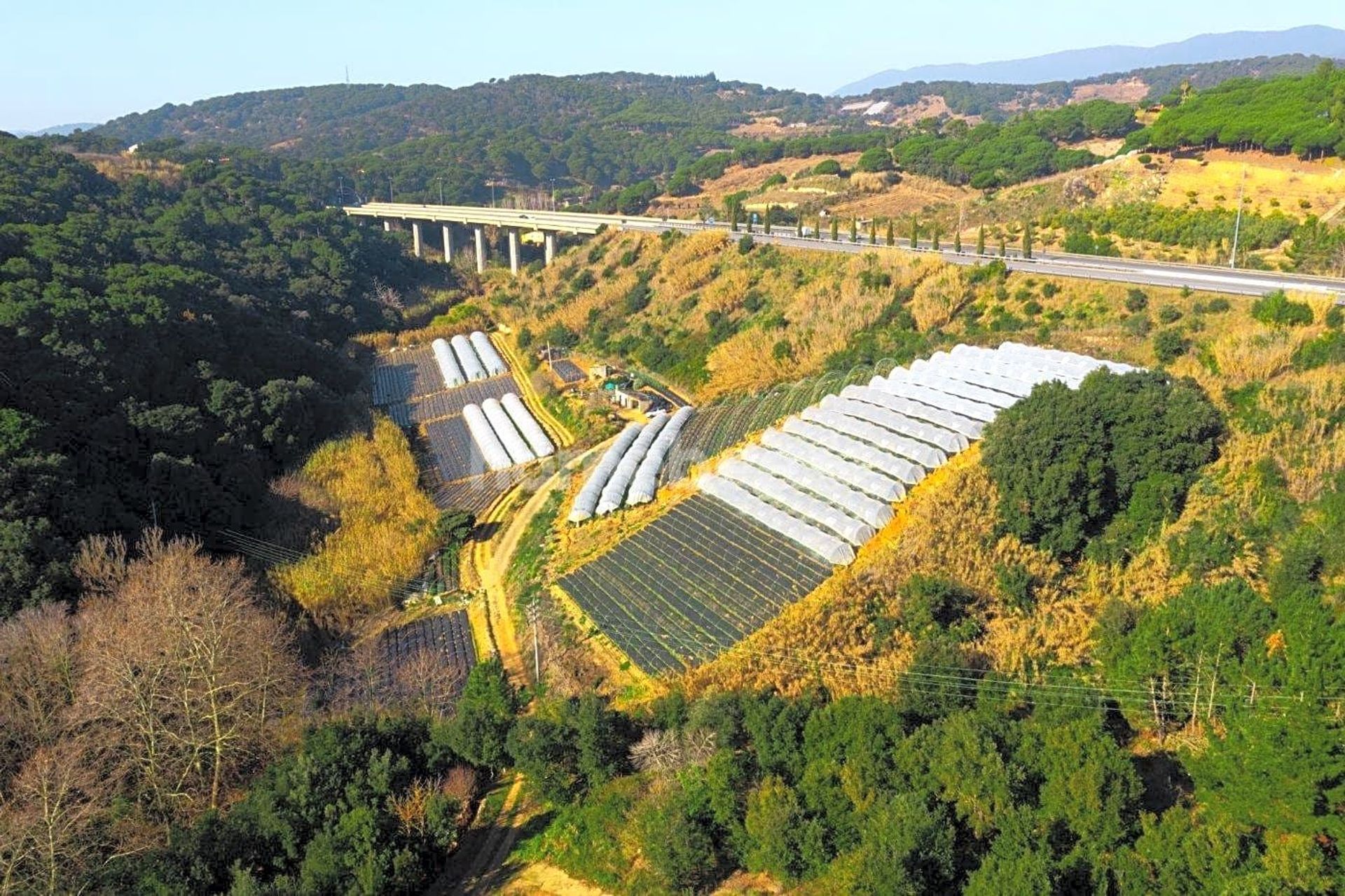 Land in San Pol de Mar, Catalonia 10810476