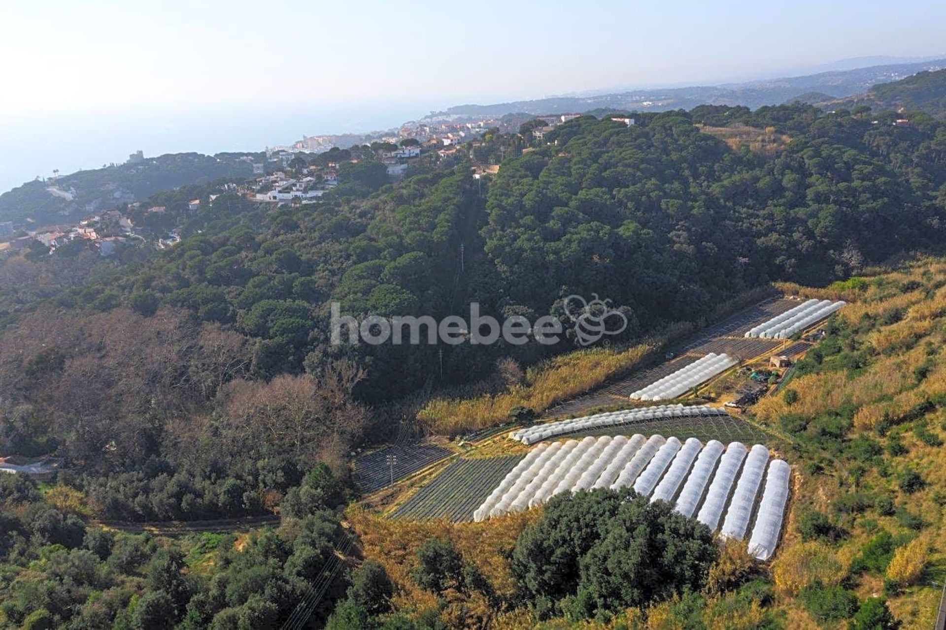 الأرض في Sant Pol de Mar, Cataluña 10810476